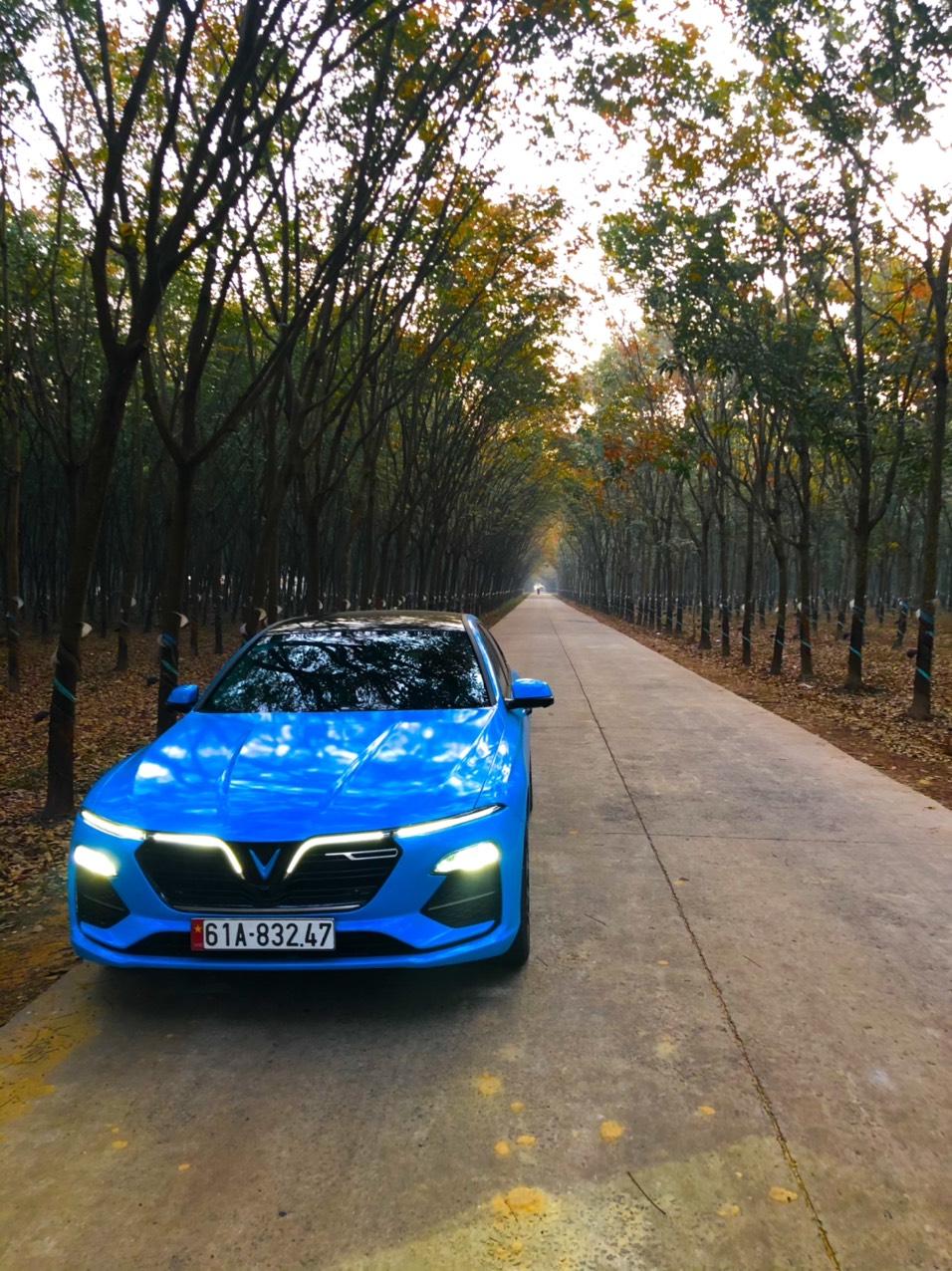 Dương Thanh Minh 2