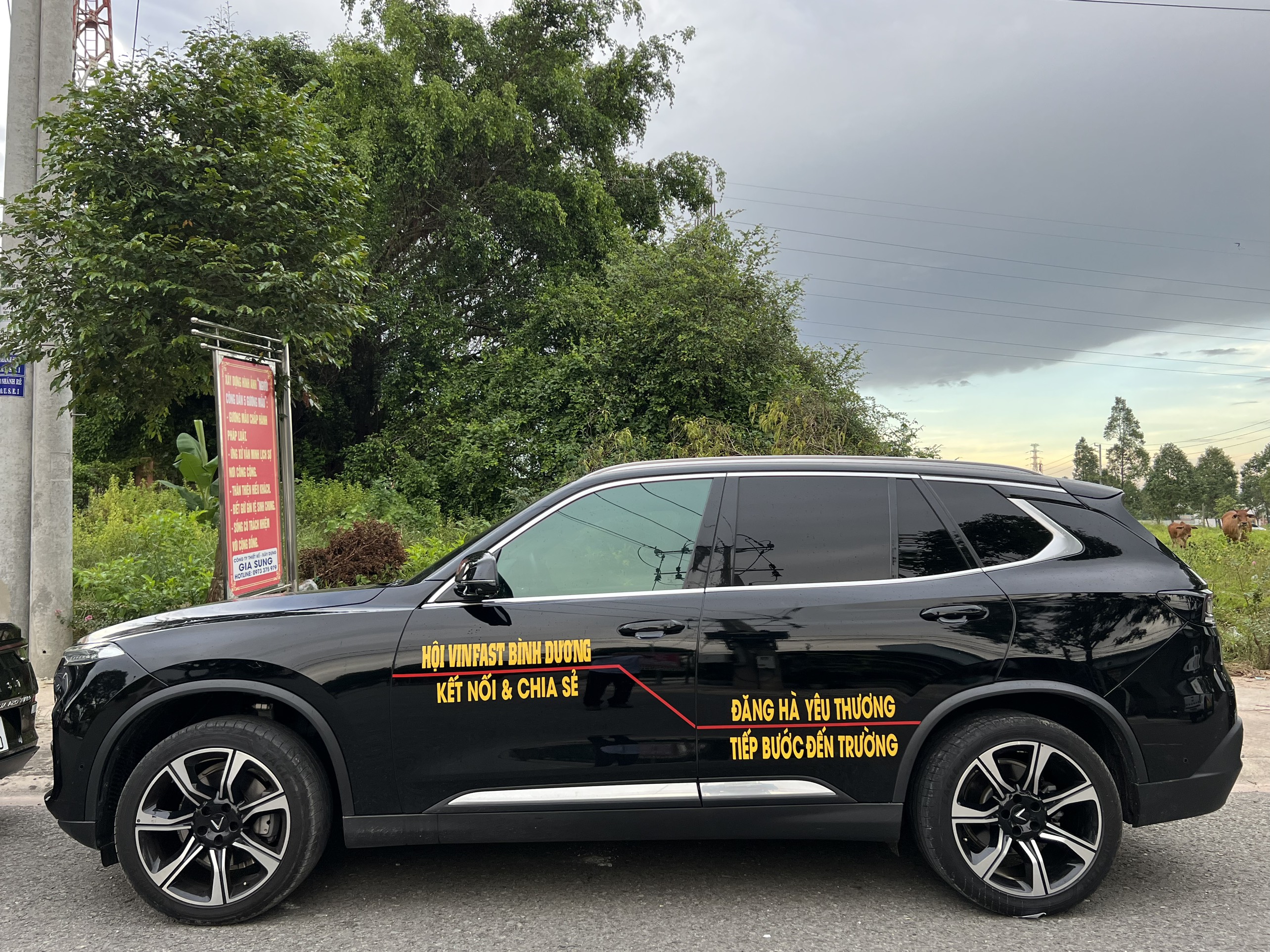 8aca029880c642981bd7