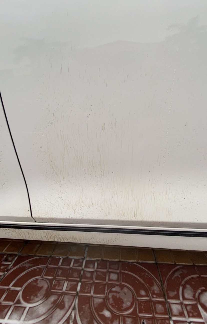 z3788074364169_ed22146e555bfd3e3f0c38190d4014af