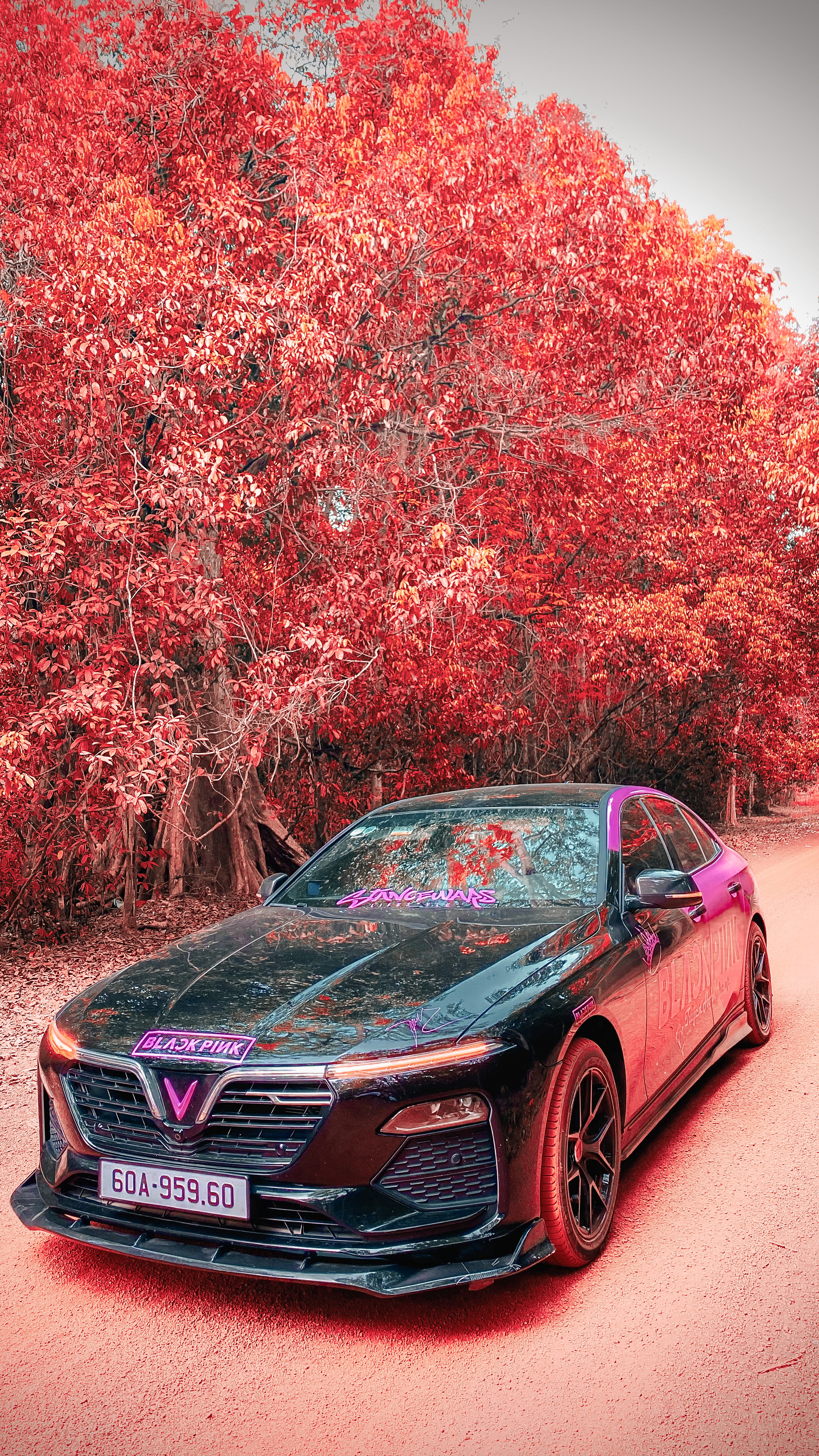 BF0EF4BD-E59D-41CB-8201-9945BDECB952