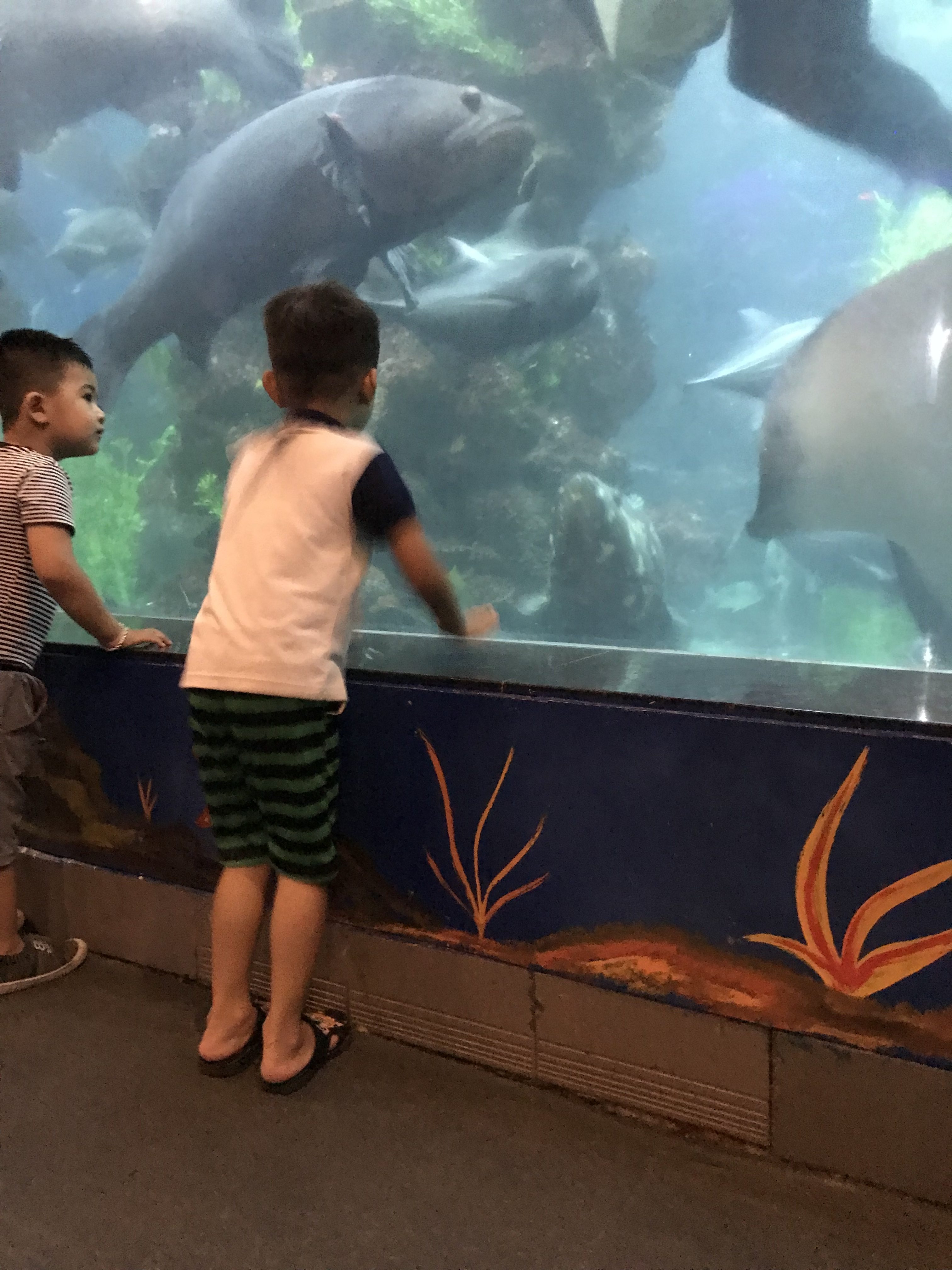 E9E862D0-F0D6-45AE-A9DC-ABB01CDAE9CB