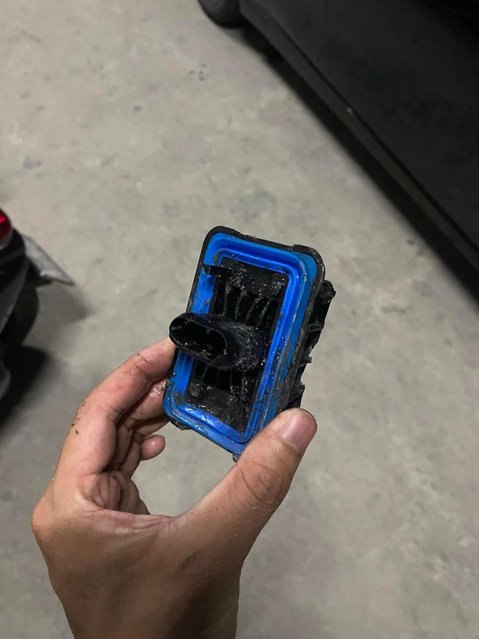 5a5217adacf975a72ce8