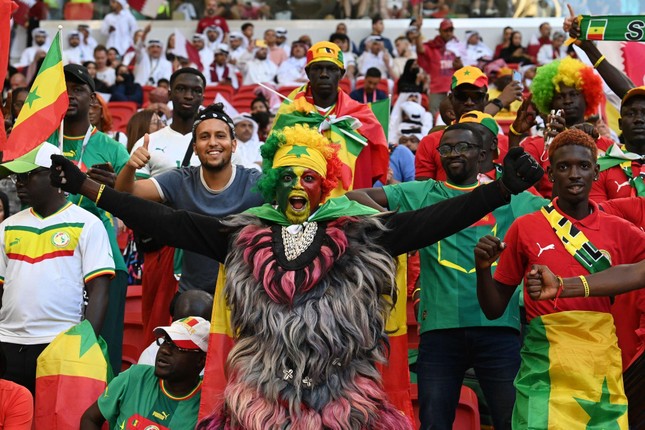 qatar-v-senegal-group-a-fifa-world-cup-qatar-2022-3-7664