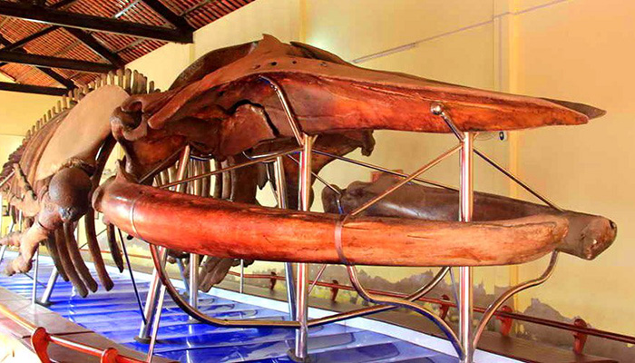 dinh-van-thuy-tu-binh-thuan