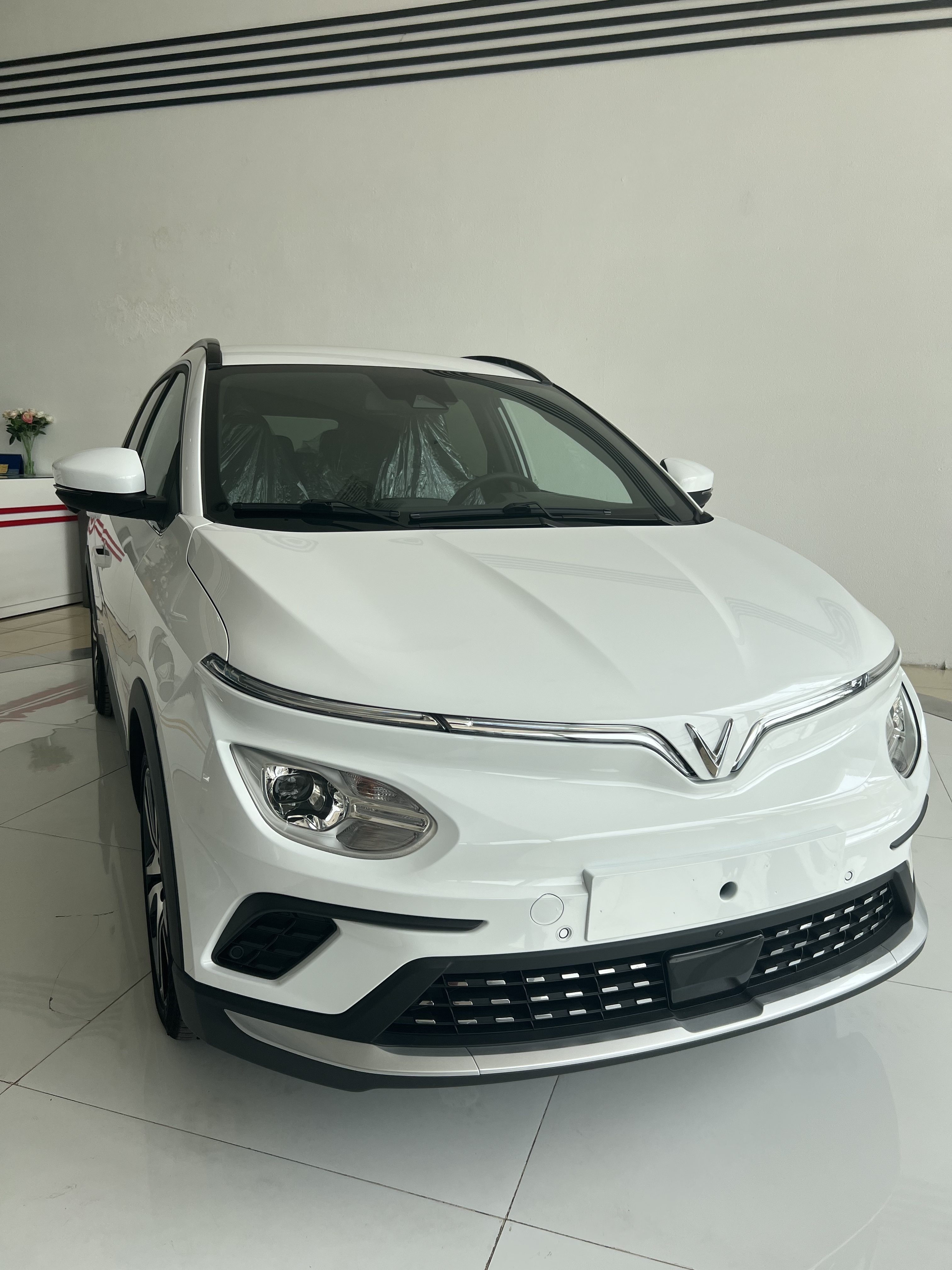 FCDC8600-4930-4EE1-B061-8AC2856E2890