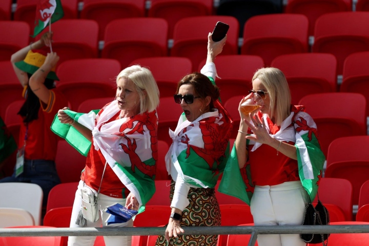 wales-fan-1-16161088