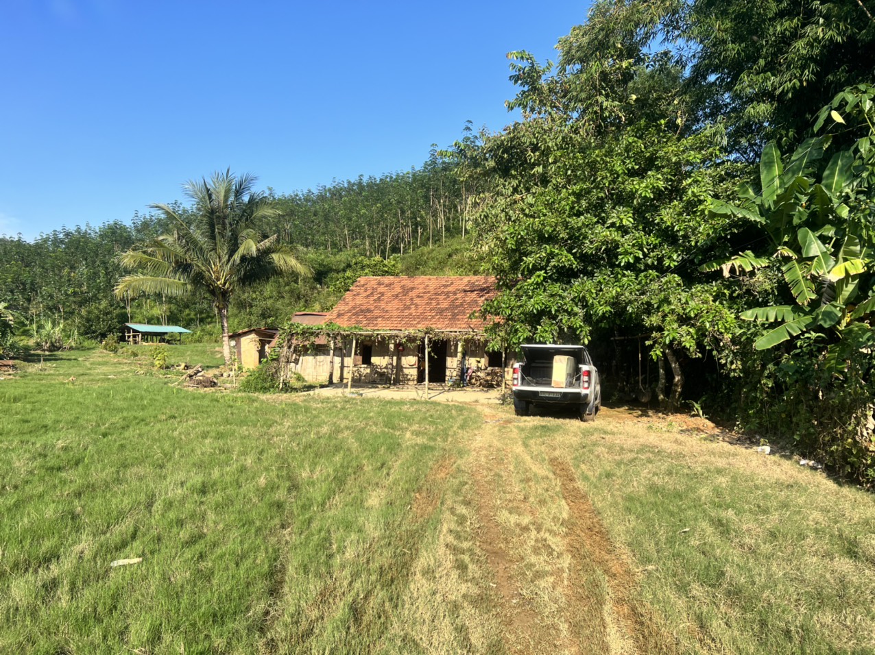 07d4e09ba6fa64a43deb