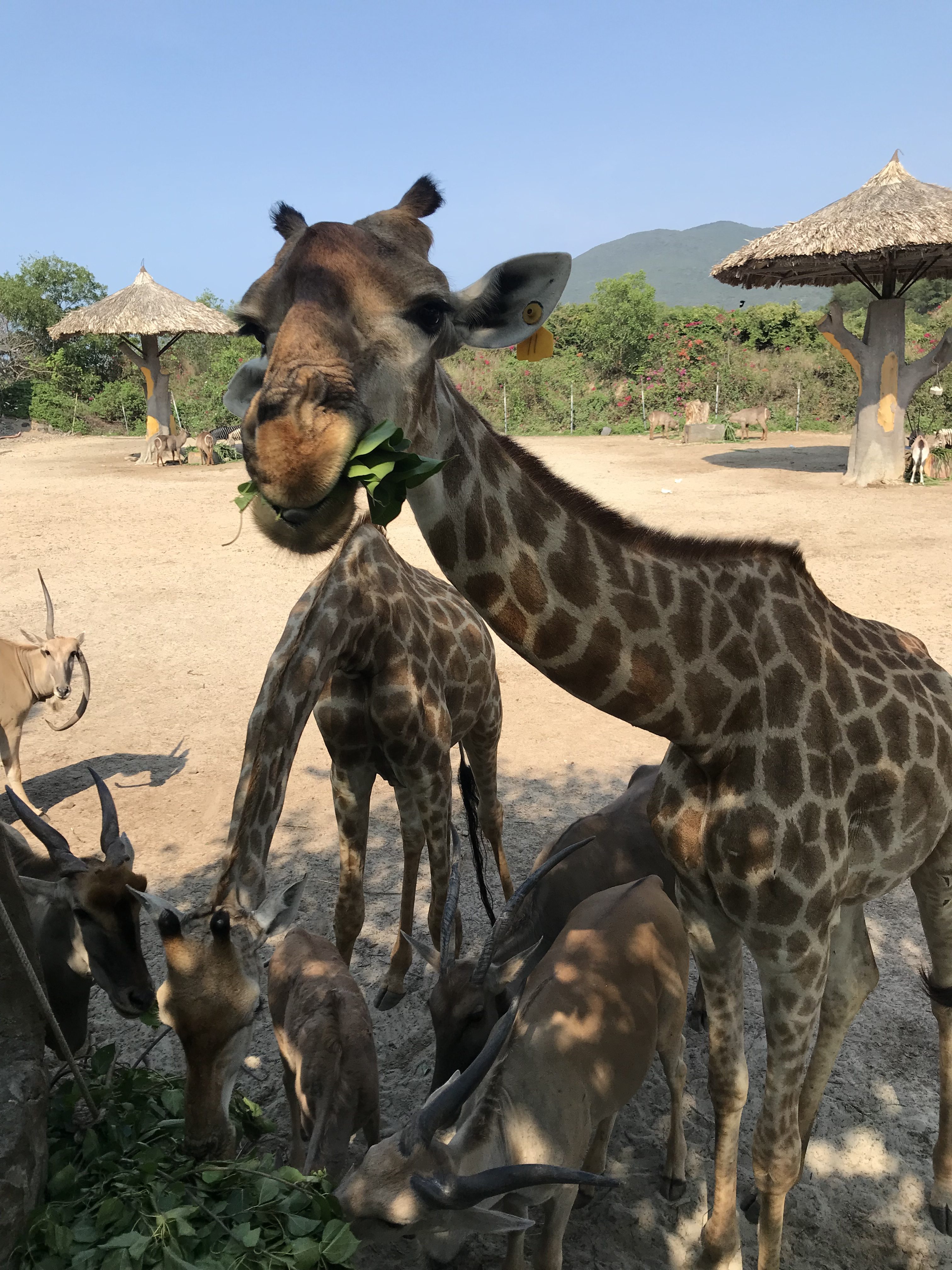 2CD146BE-B522-4743-861D-90F67CA2DD83