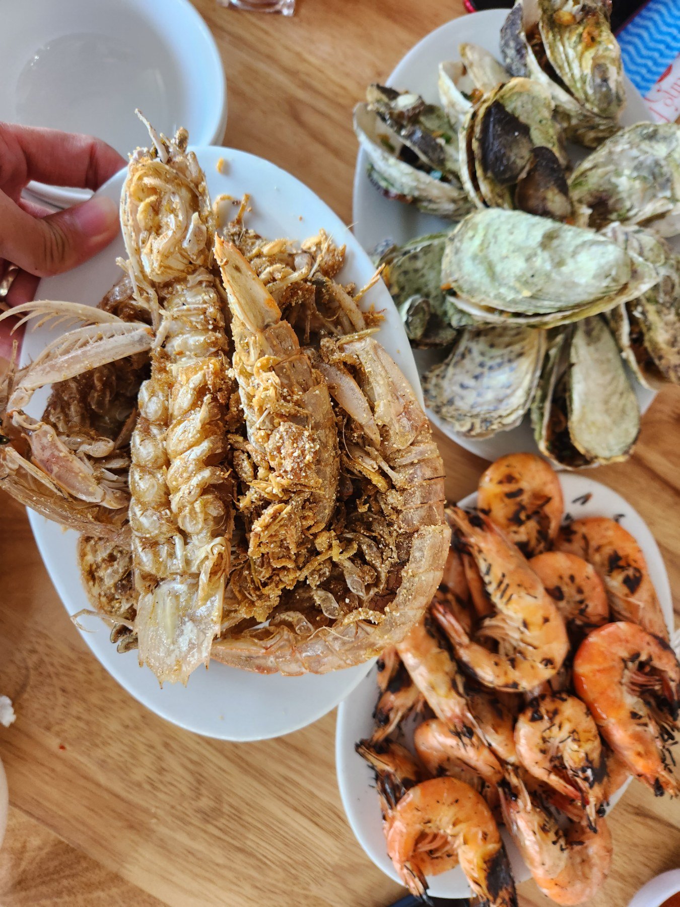 c5141eead82d1e73473c