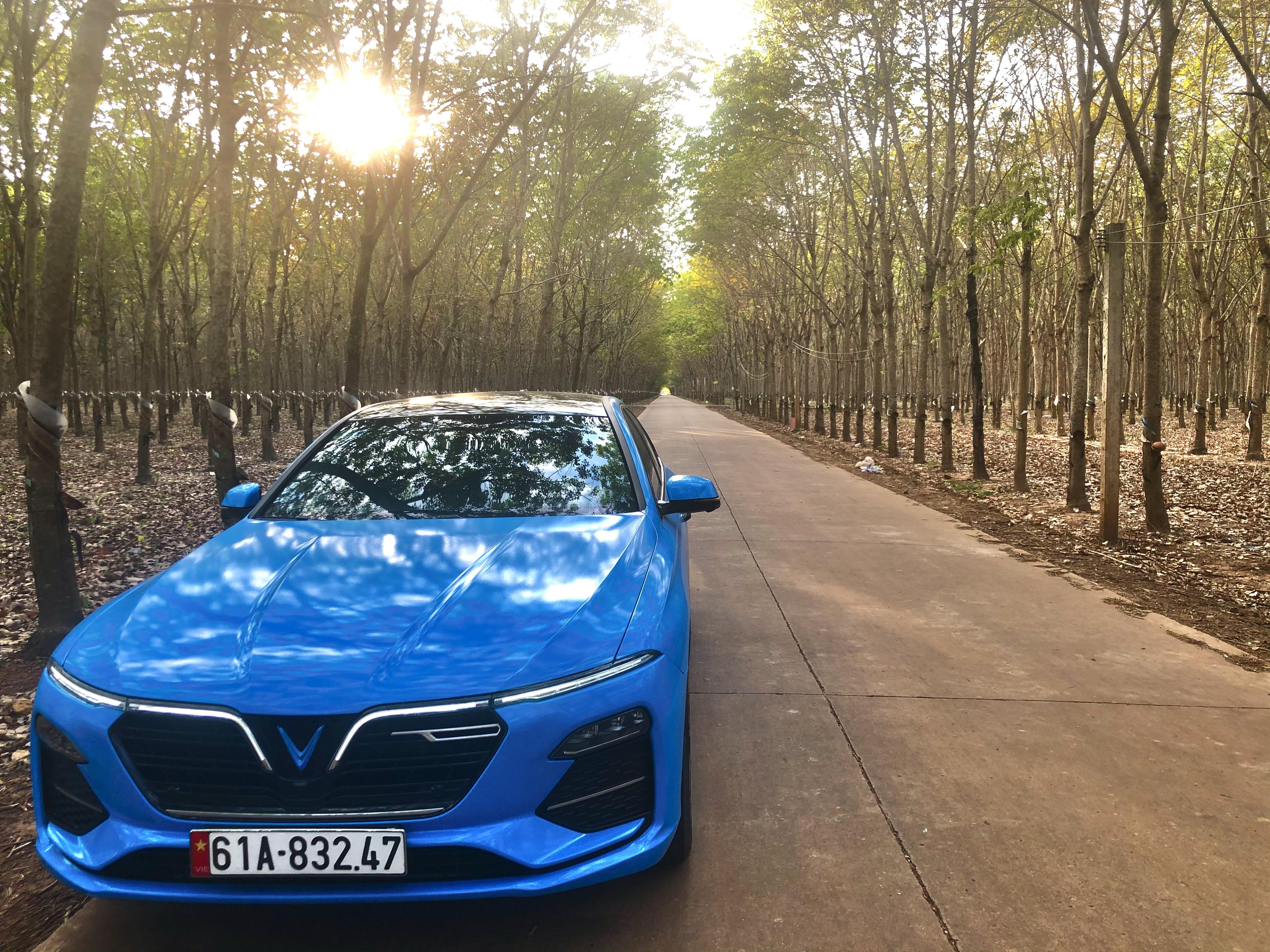 2021_02_19_17_01_IMG_3606