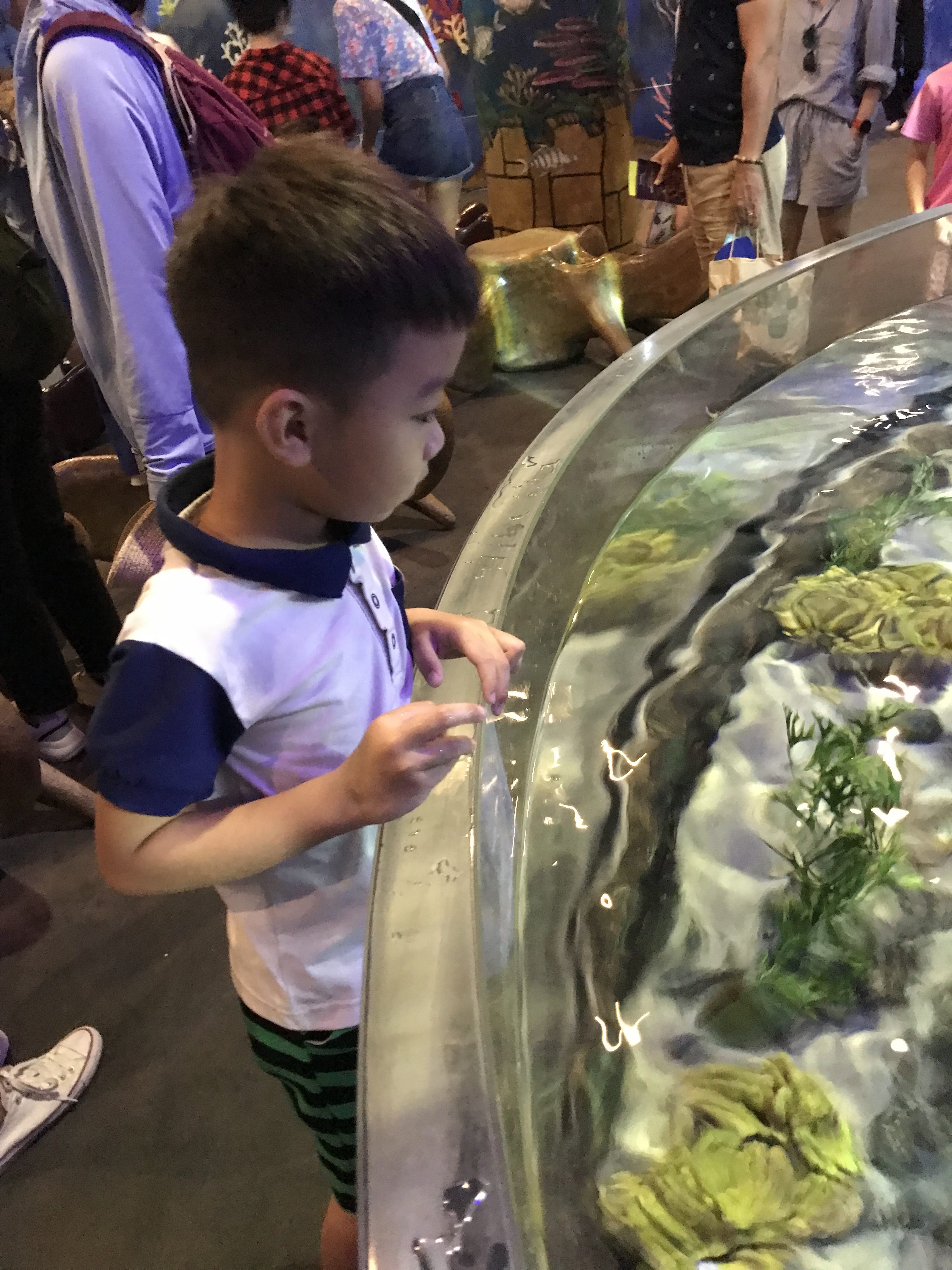 F3D84FDE-2536-44DB-AF4B-D3379B4F1BC2