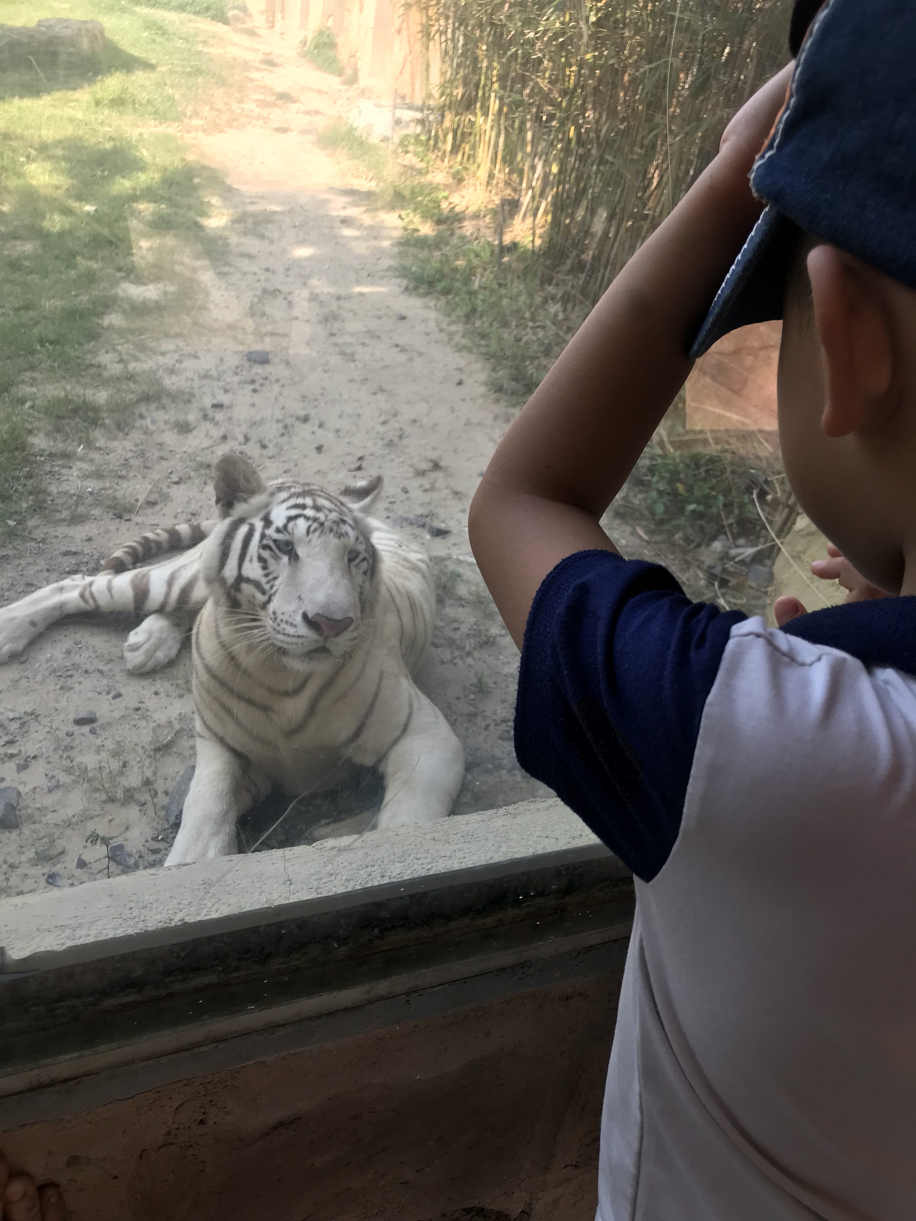 6571CCD9-EB65-45F9-9F2A-EA349D9E10D4