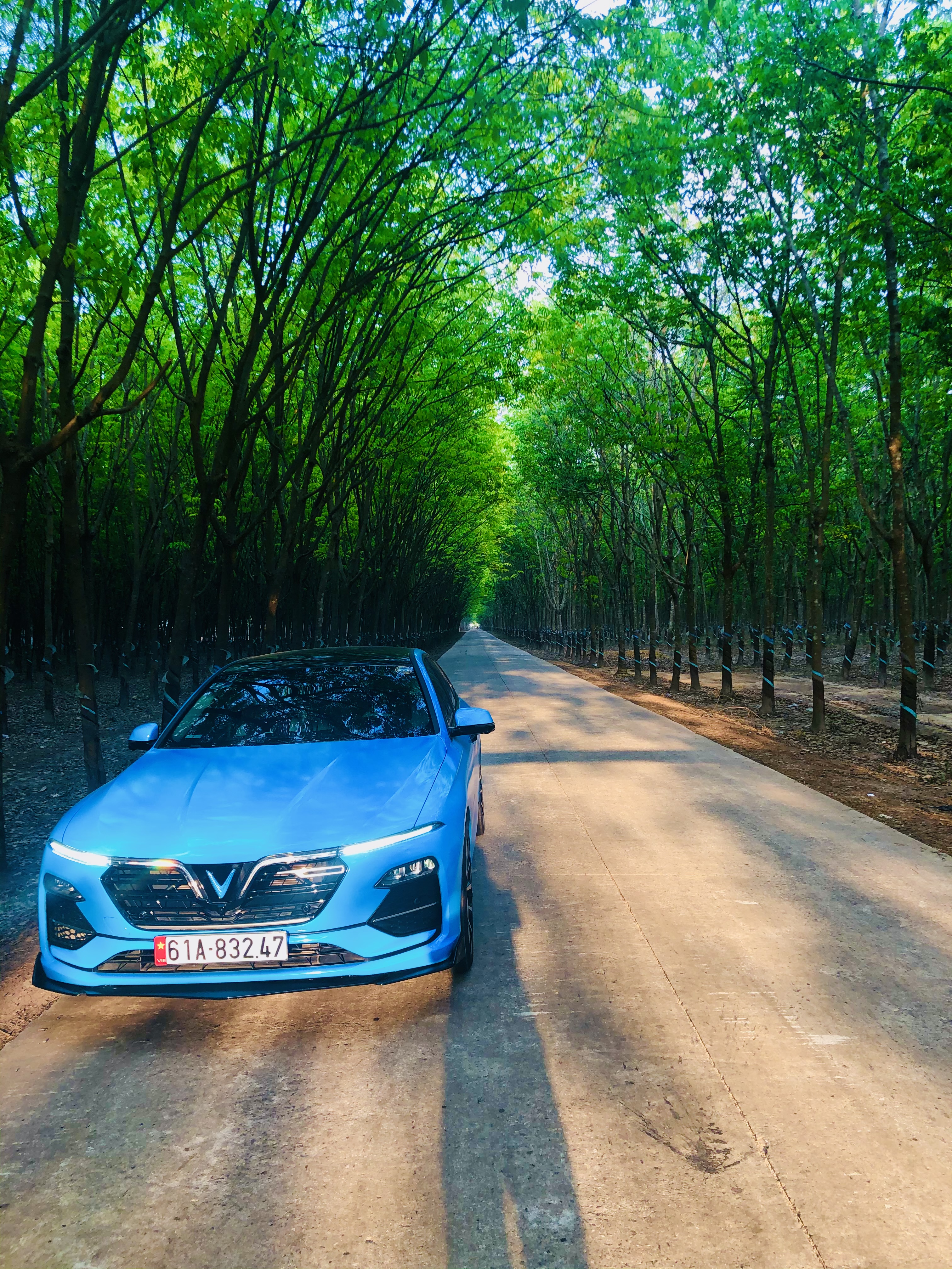 36CC305B-C52E-403E-ADE3-D052ACE7B4BF