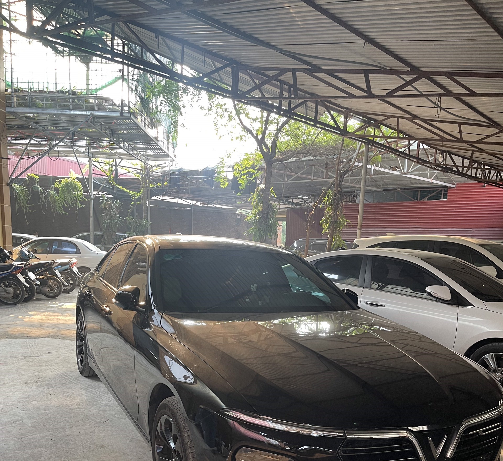 z3893605458549_ceec0a1f845a844ef8f56c09b9d1e7d7