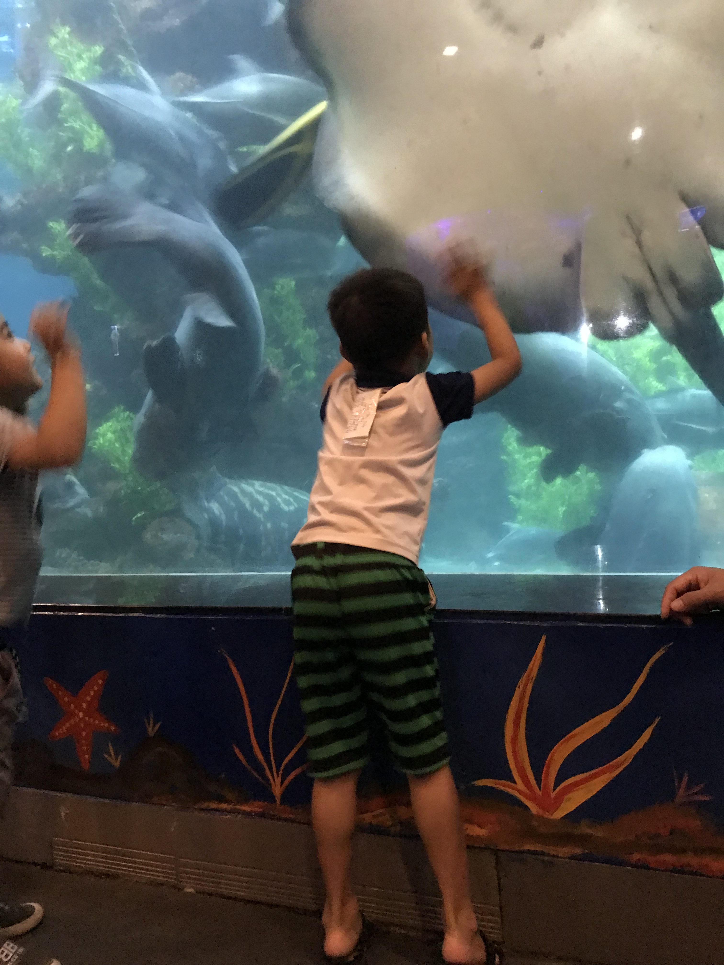 047D7CD4-D663-41F0-9E75-D95CDC296999