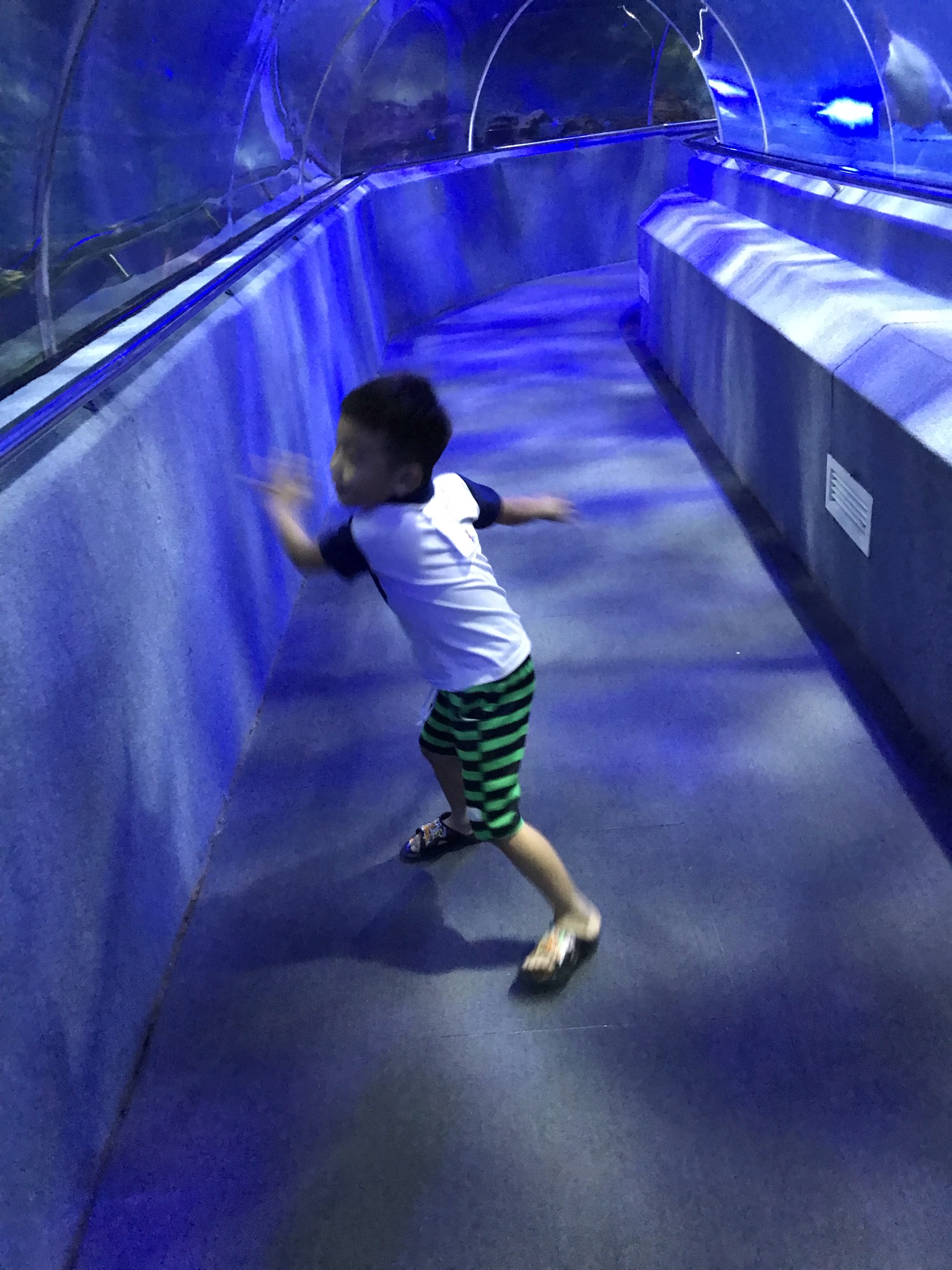 102A6EE6-53FF-4AEC-A17E-9CC5BB705C50