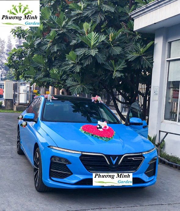 ec81d4d7ce0f3e51671e