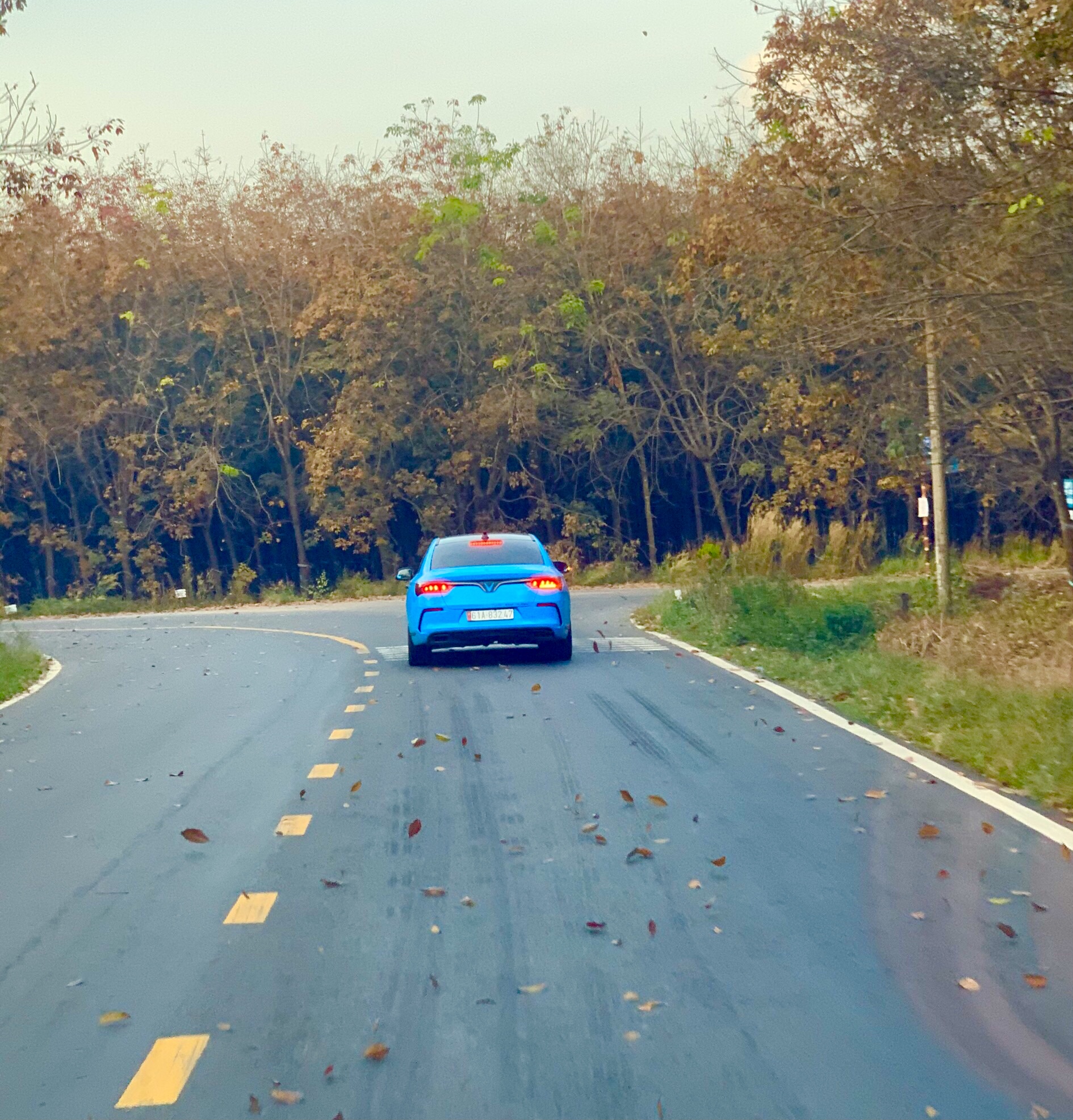 2021_02_01_18_14_IMG_3208