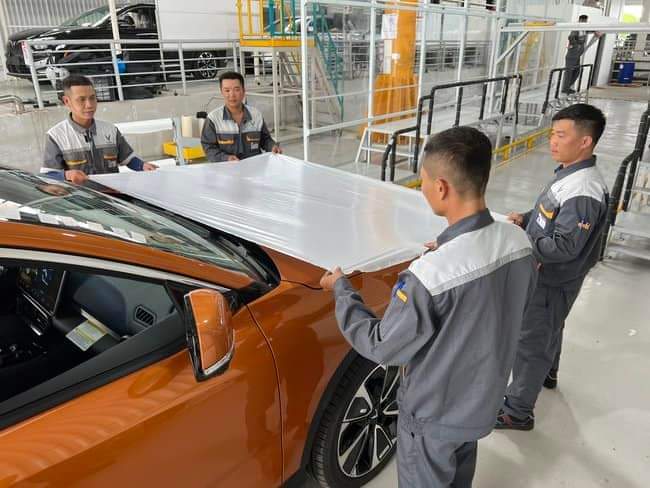 FB_IMG_1669397737727