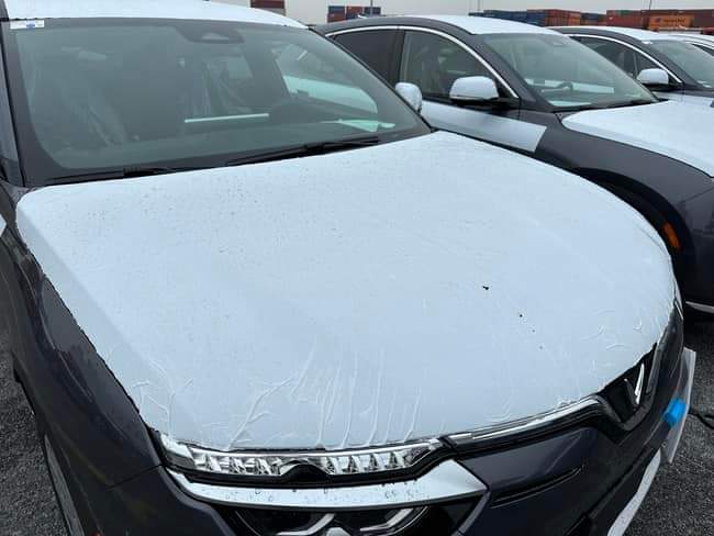 FB_IMG_1669397763238