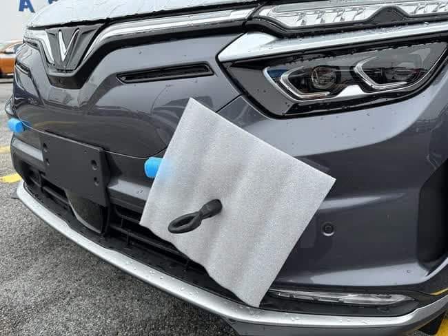 FB_IMG_1669397779554