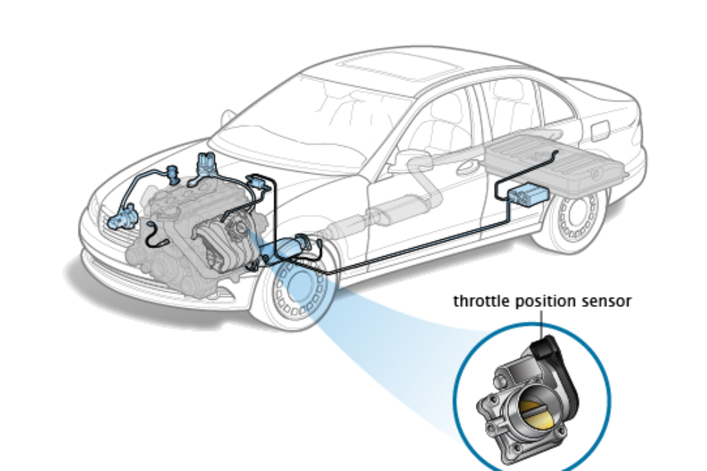 cam-bien-vi-tri-buom-ga-throttle_position_Sensor_0