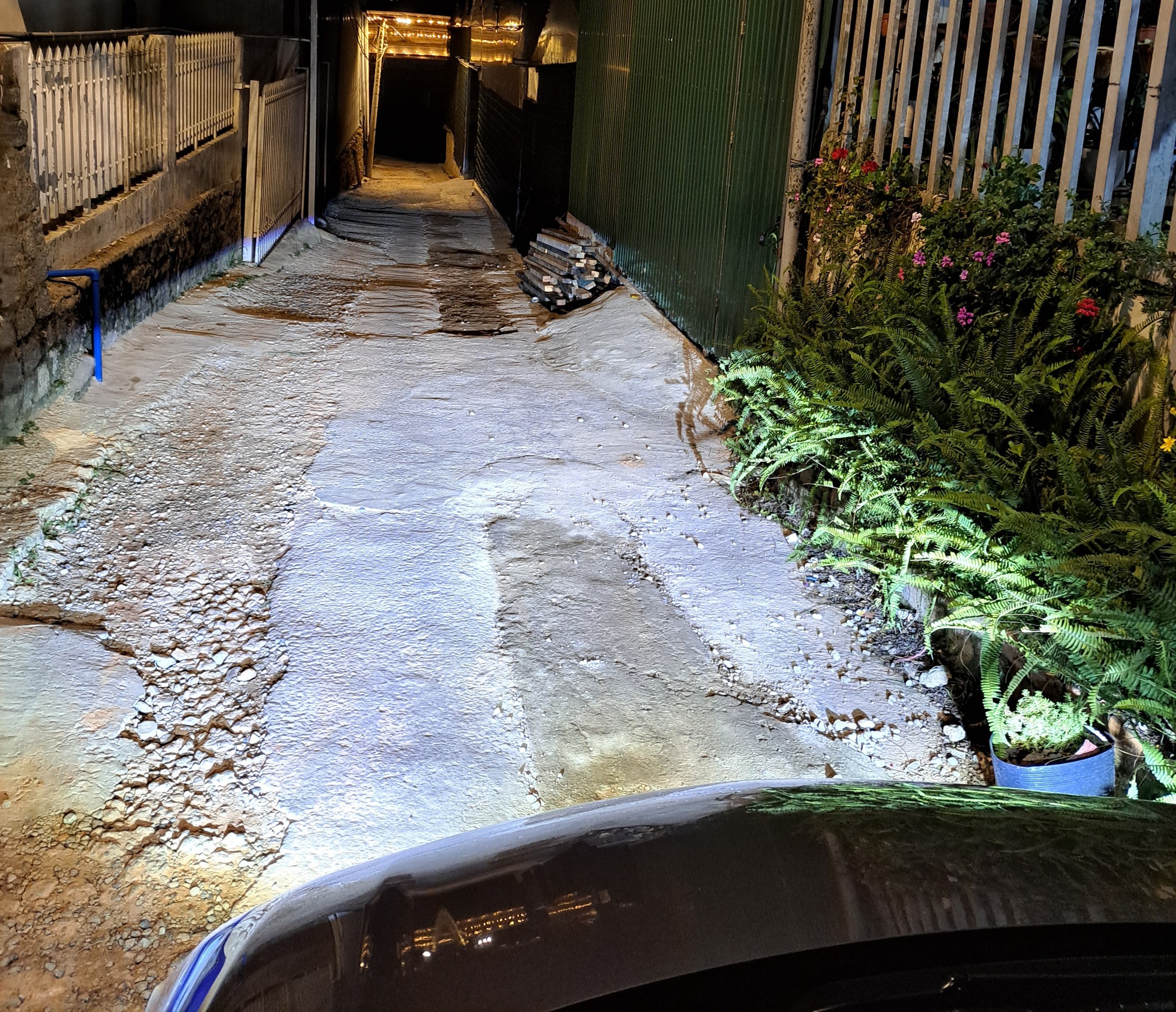 317070810_8319262538145175_3404073817980967447_n