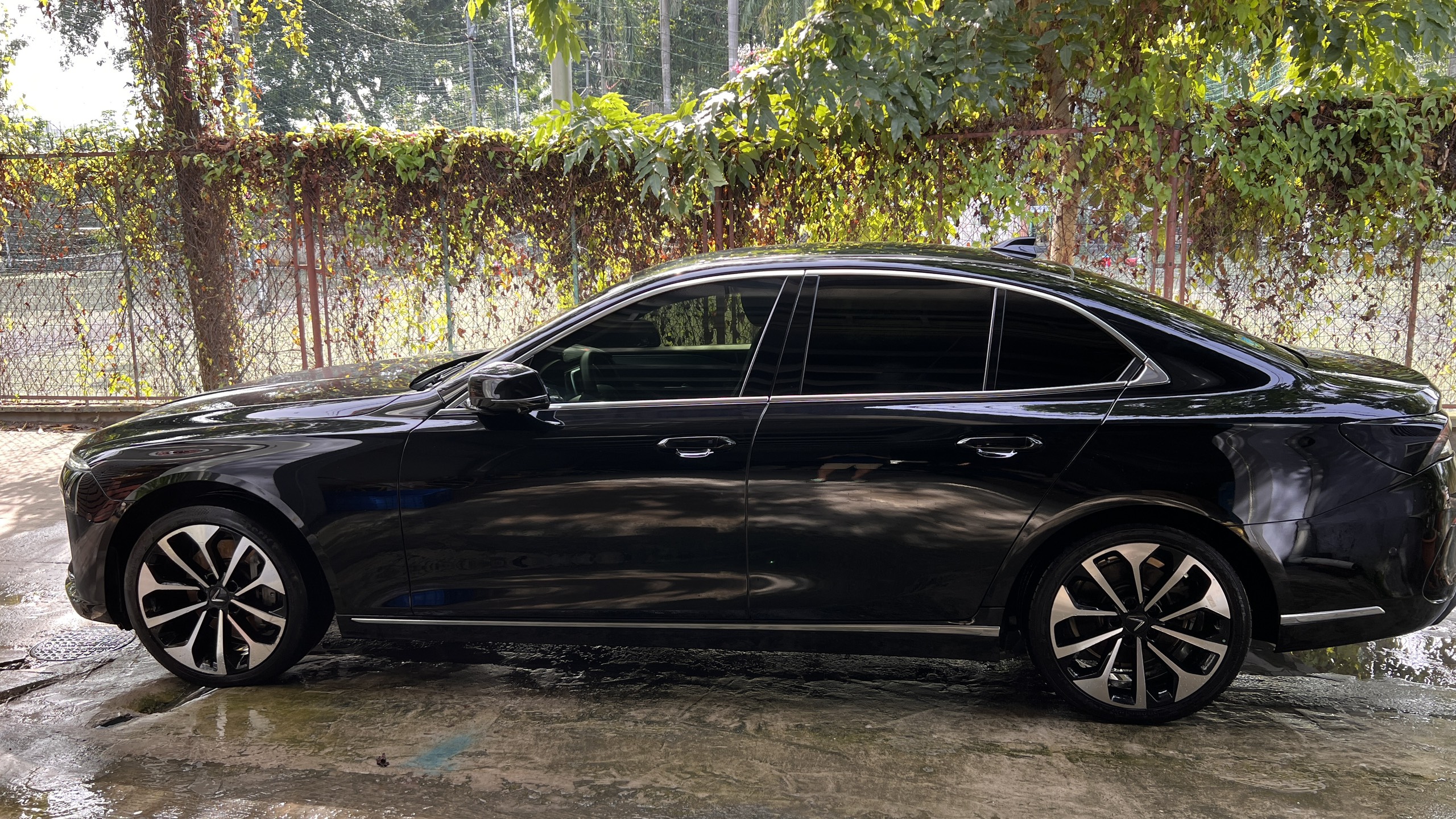 z3932439540814_1228a928905500cf06604e937bd0bbbf