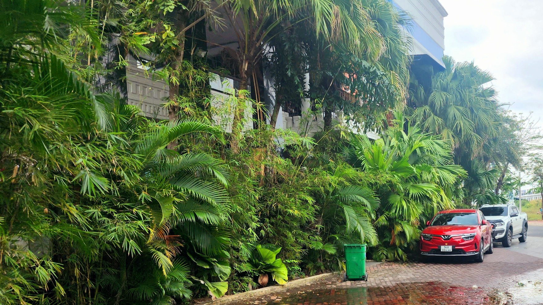 IMG_1674826264929_1674826816101