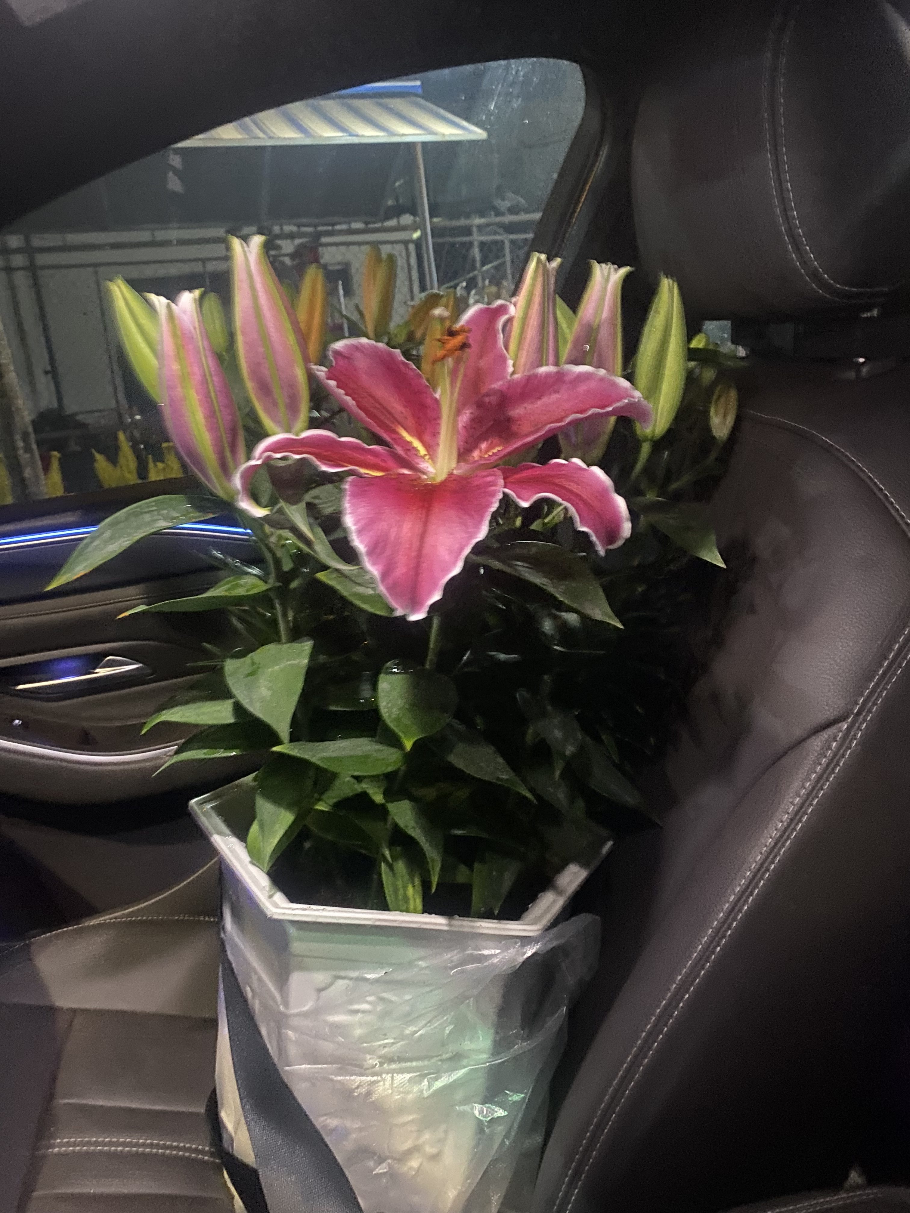 1E2F2313-CC30-43BA-8A8E-91ECD9CC844C