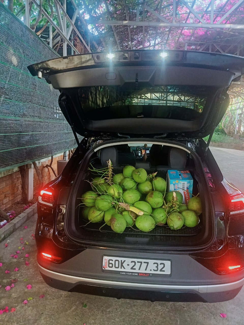 z4068185410458_27a237ef4bb419ea2f425c8768cf9bbe