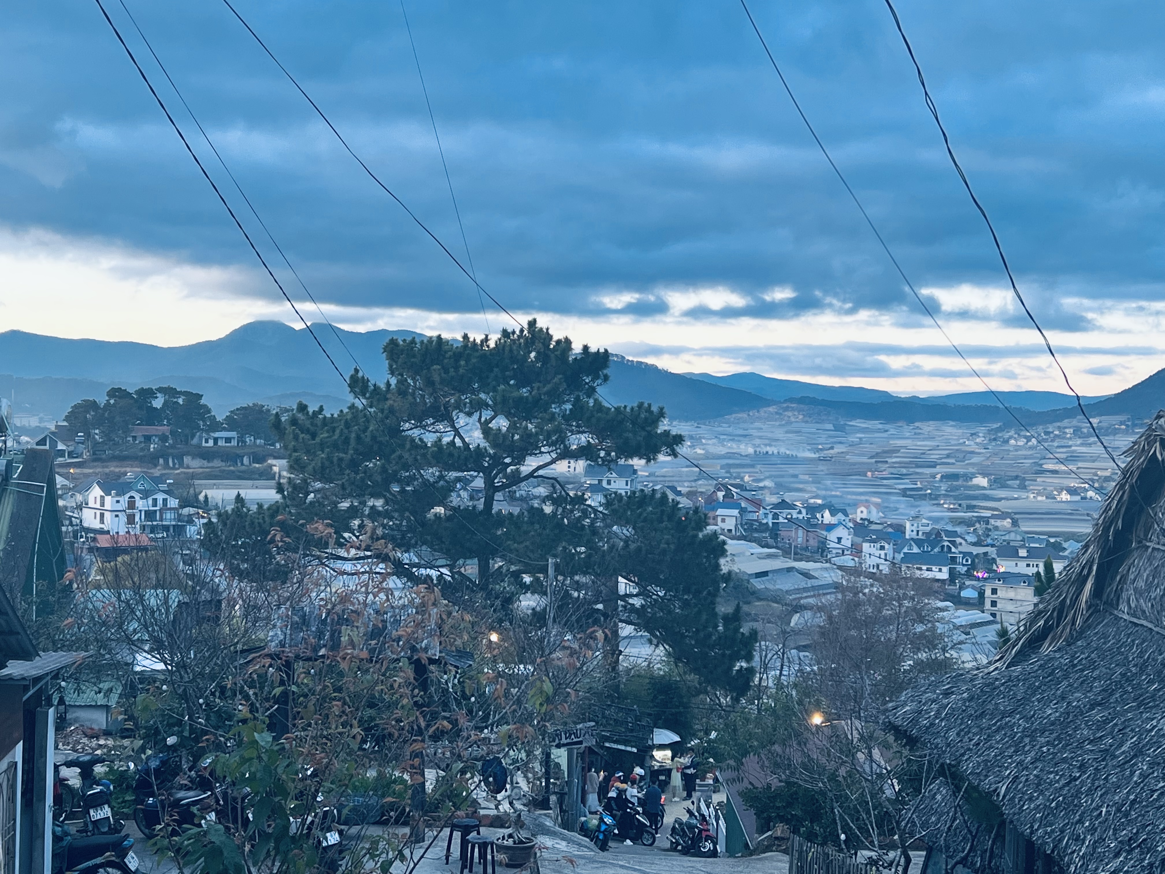 B786FFF6-7DA5-4F6A-AFD4-1E40618BB365