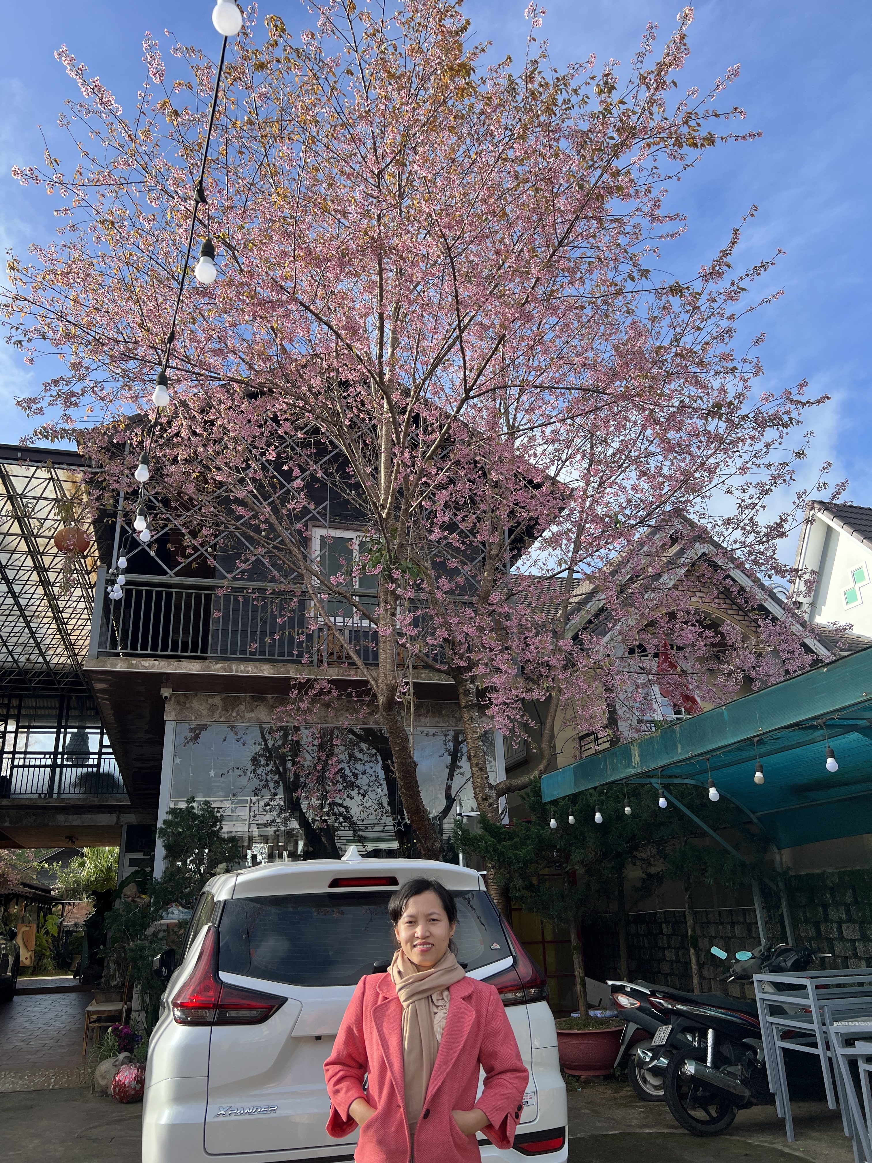 DF7680AB-E4EA-4CAC-8CD5-CCC85A7154BE