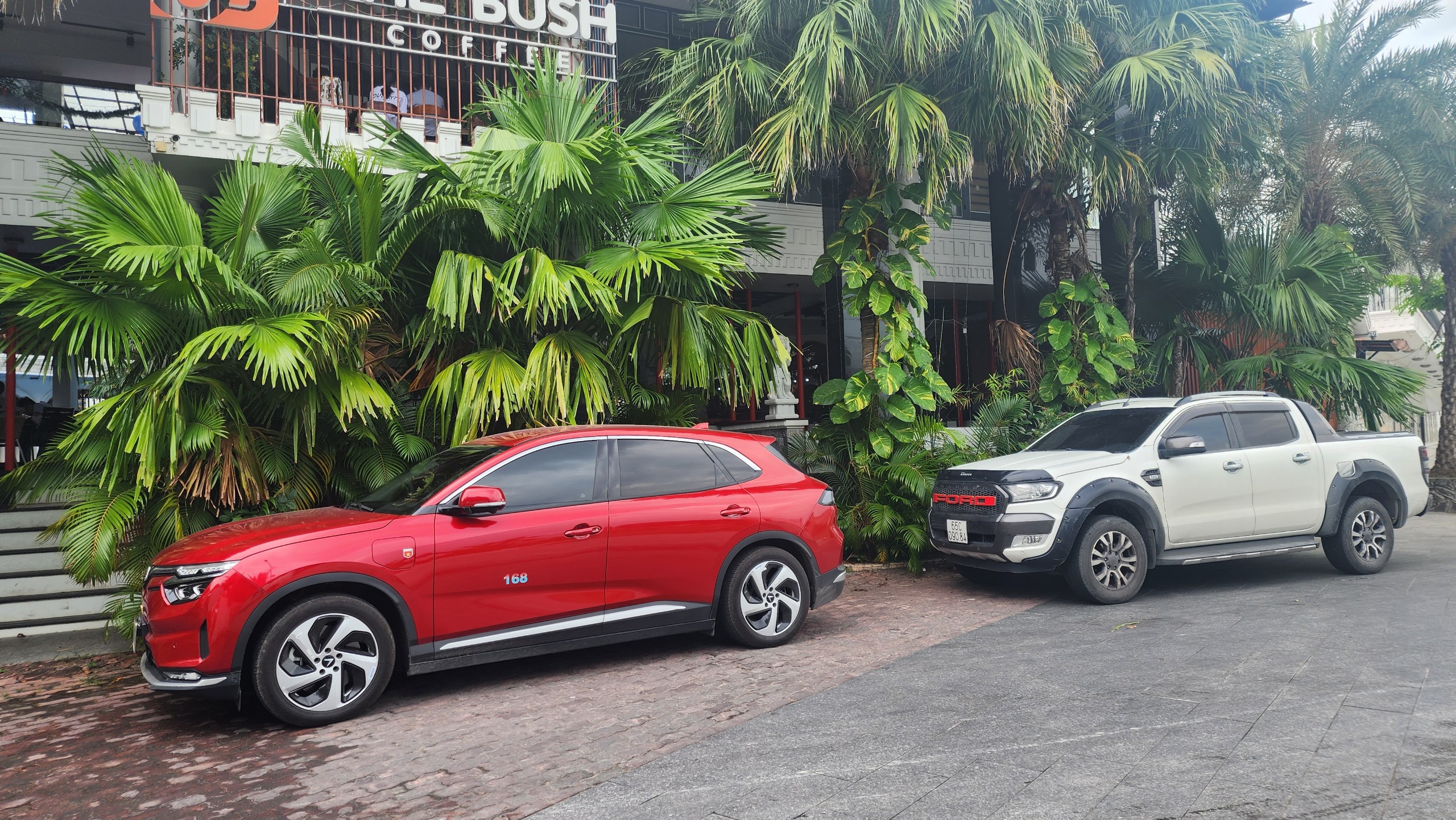 IMG_1674826264588_1674826813701