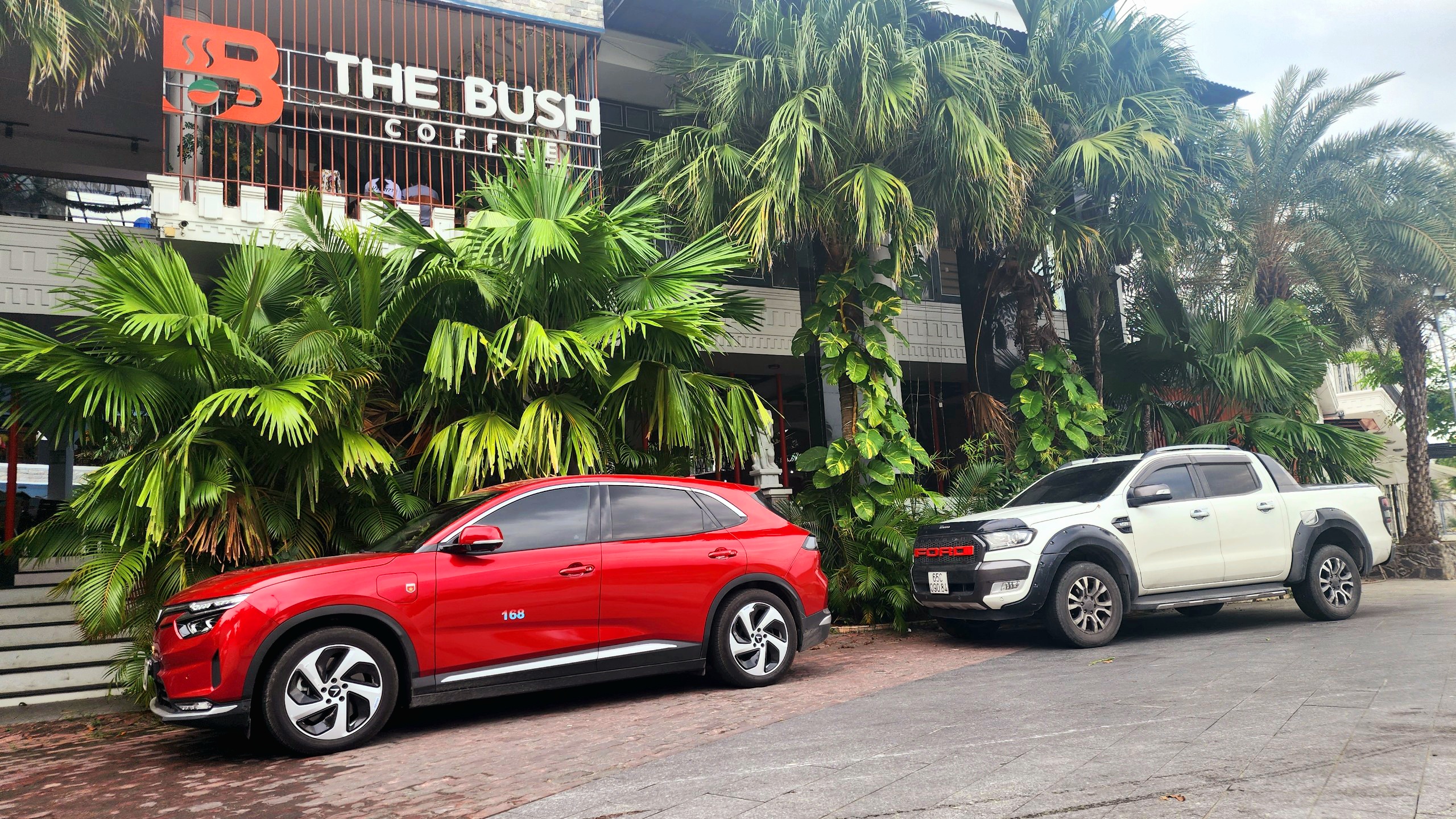 IMG_1674826264640_1674826814177