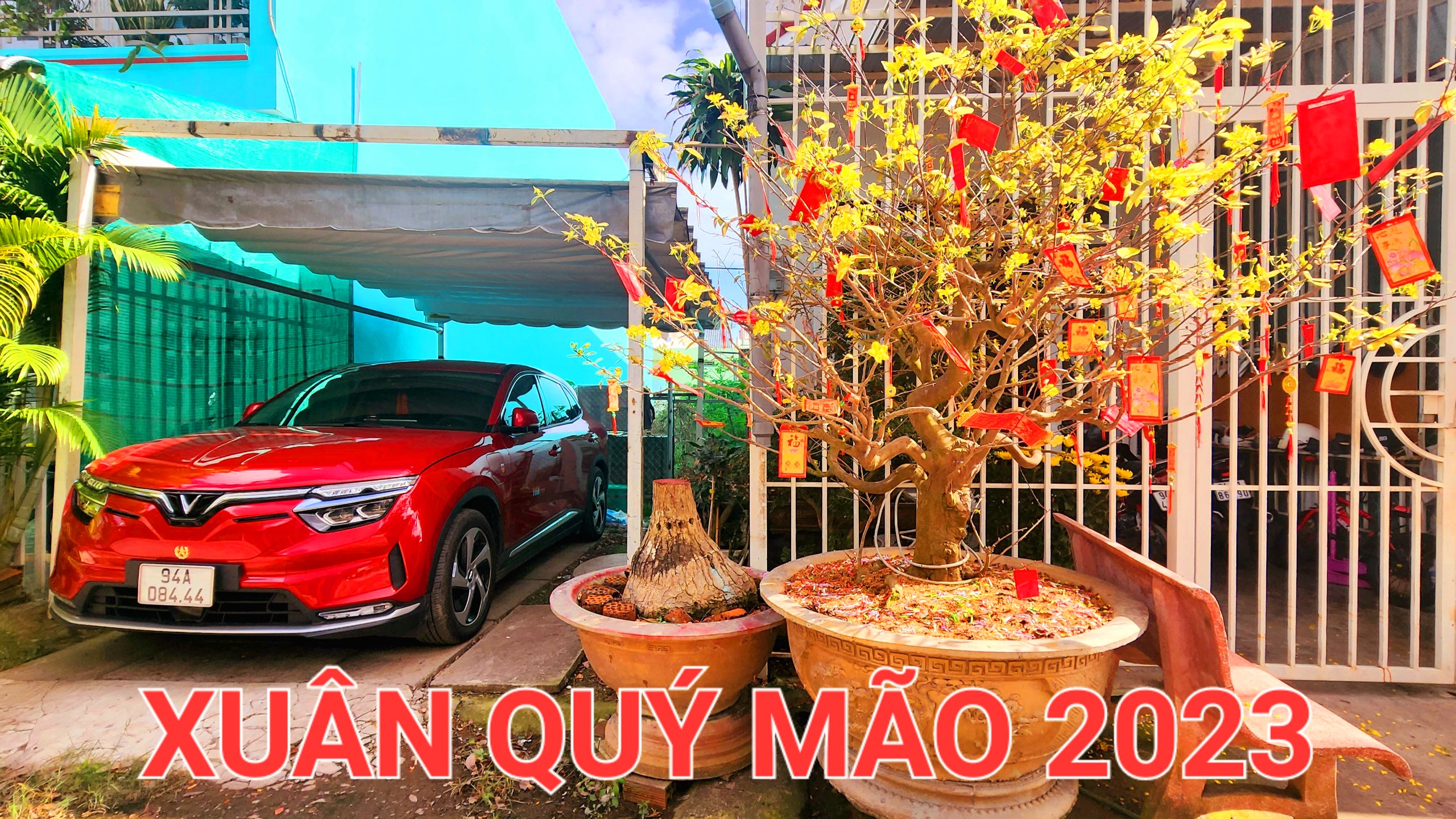 IMG_1674826416959_1674826767421