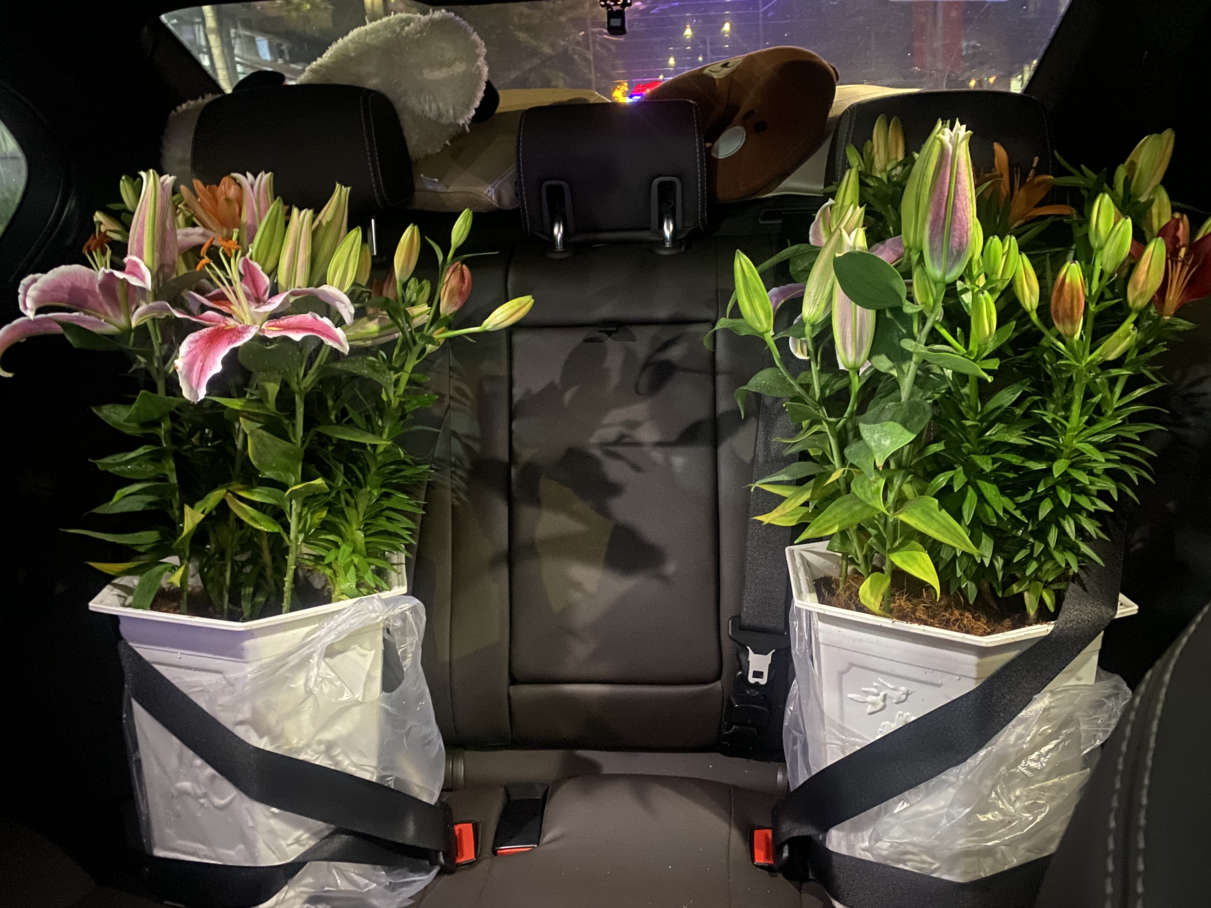 7052438A-C9A3-4251-9A95-82A444F2EB27