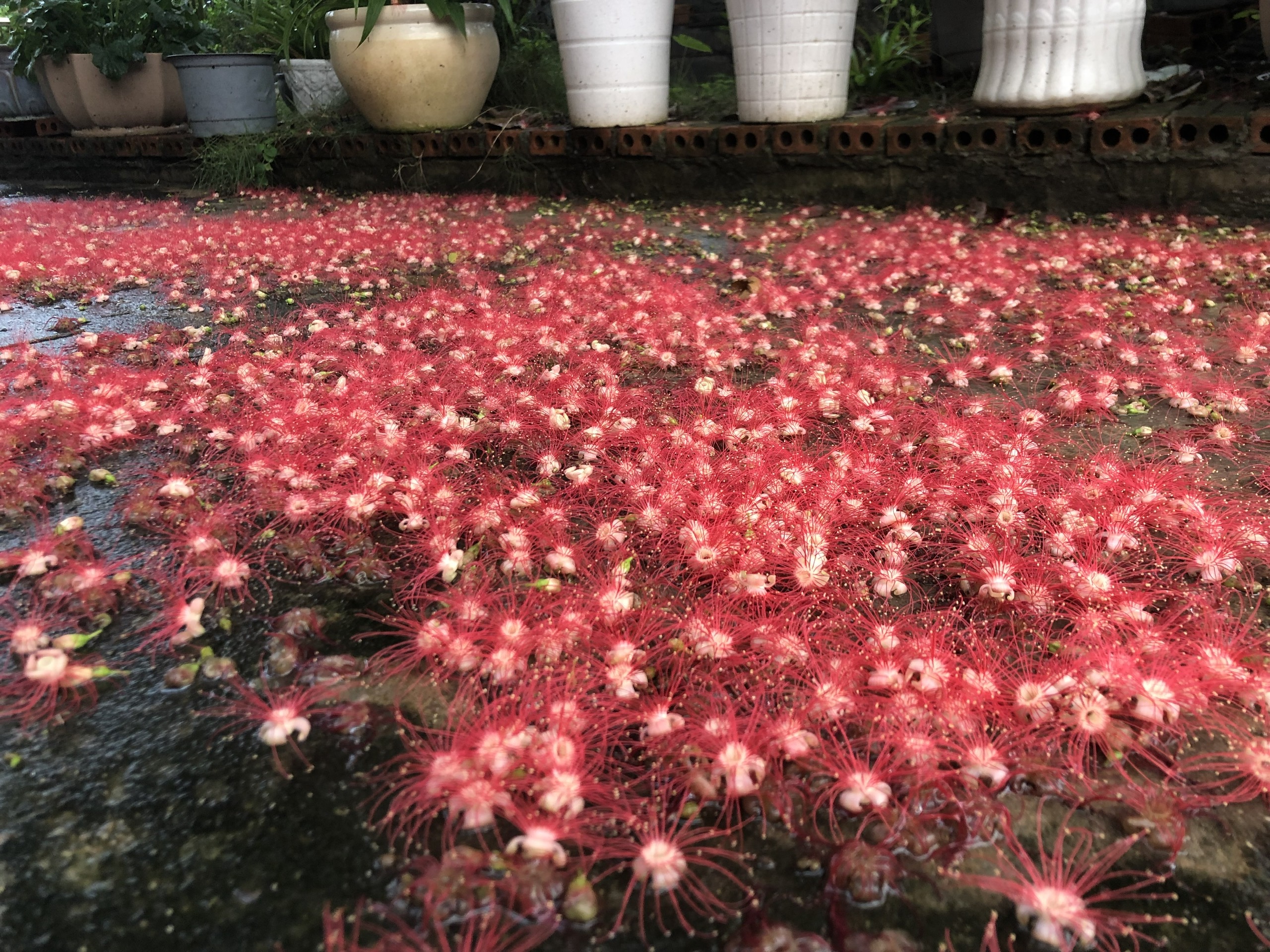 A7E108B8-2750-4E0A-8F7E-8D5CB74A8FC4