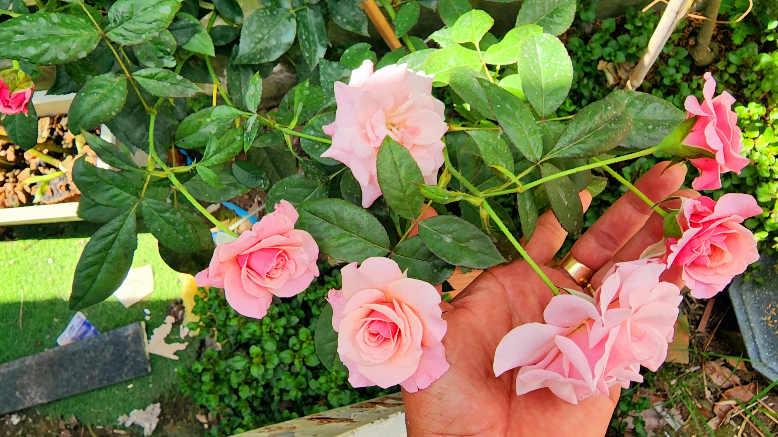 z4109683191246_b7cfbdb9553e7b8102ddfbae7dececbb