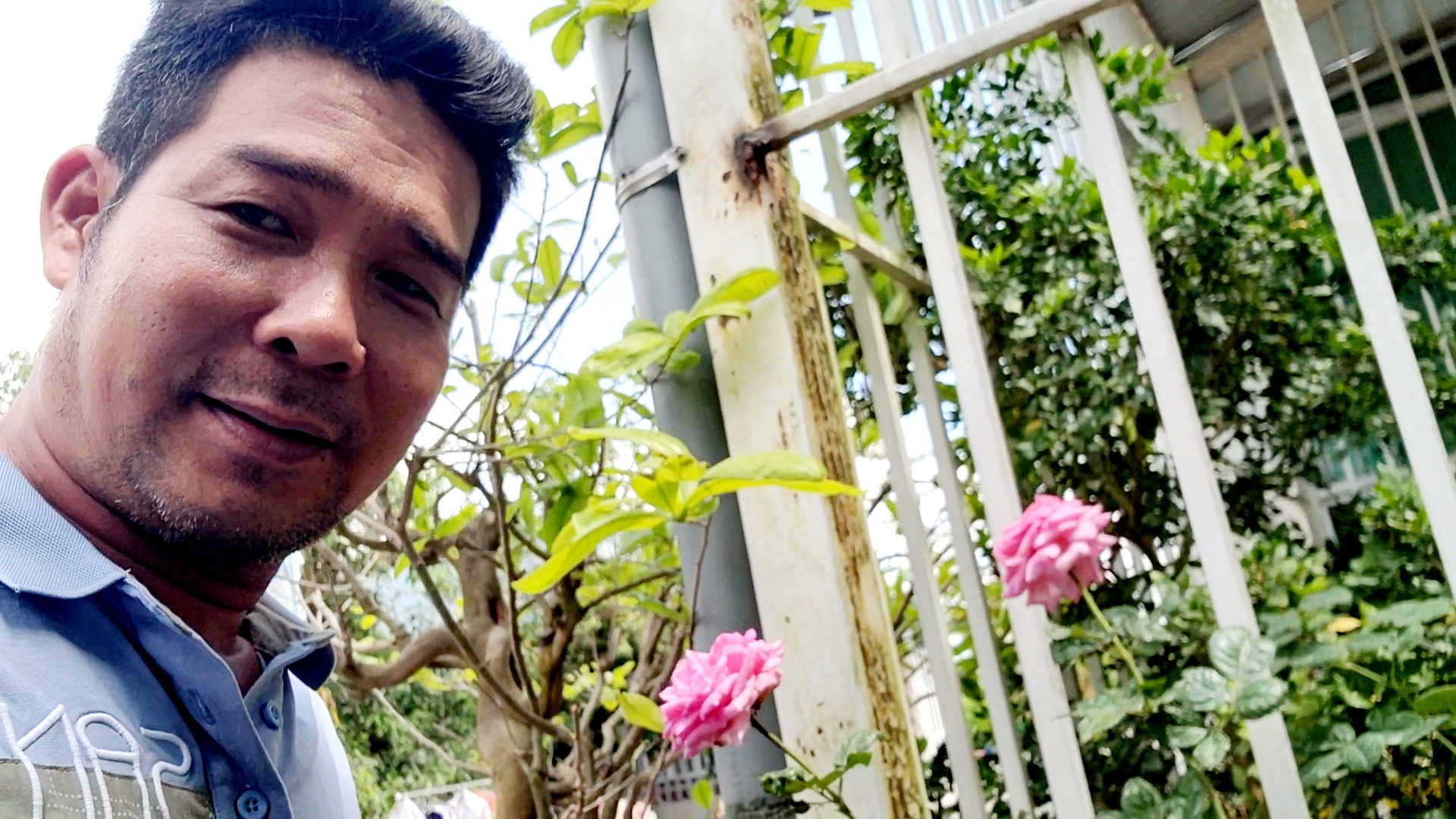 z4109683184109_b3460a1a39cb2788eb58870e801878c2