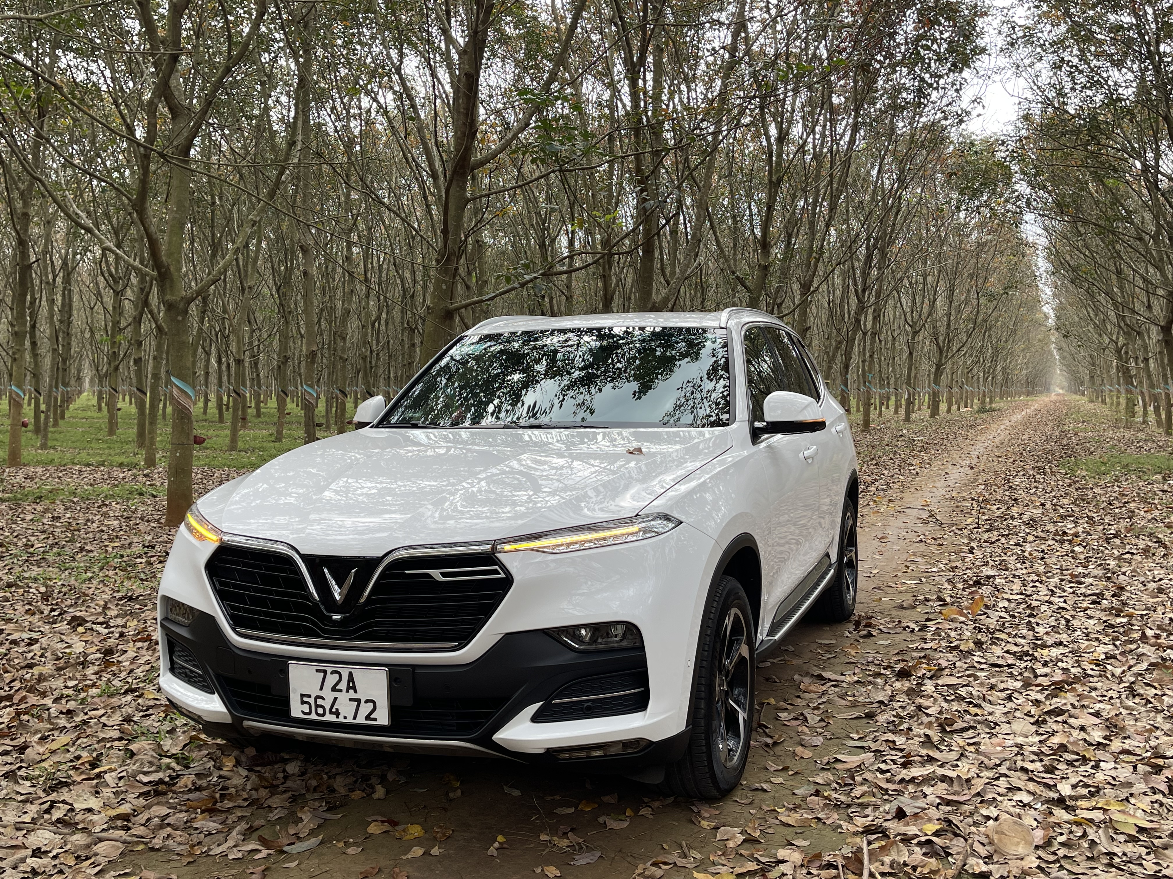 80D82C0A-3FBC-420A-B51E-ECF6BD4D5C02