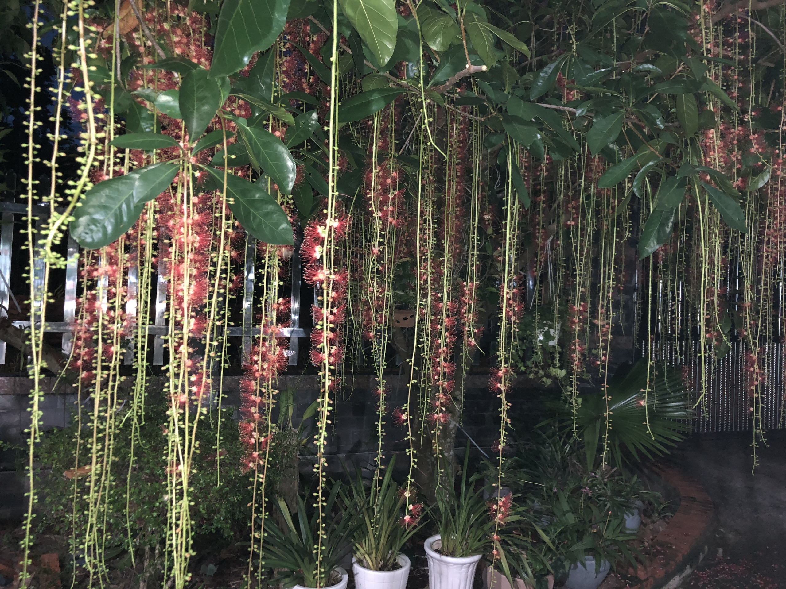 A77A878F-093D-44C8-BE9F-7F59C939EFEA