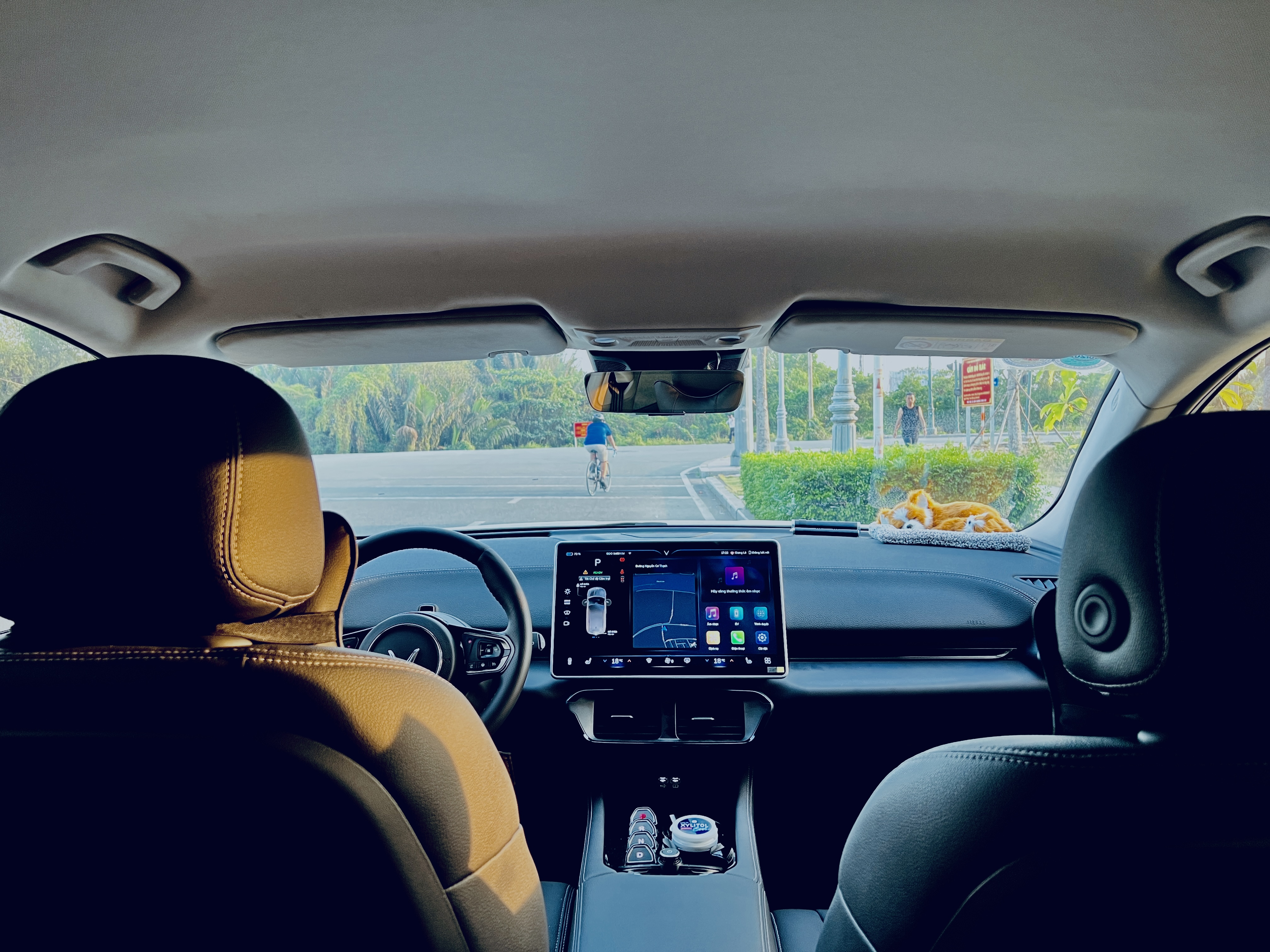 E5C97295-C512-44E3-B083-2CEFE554F903