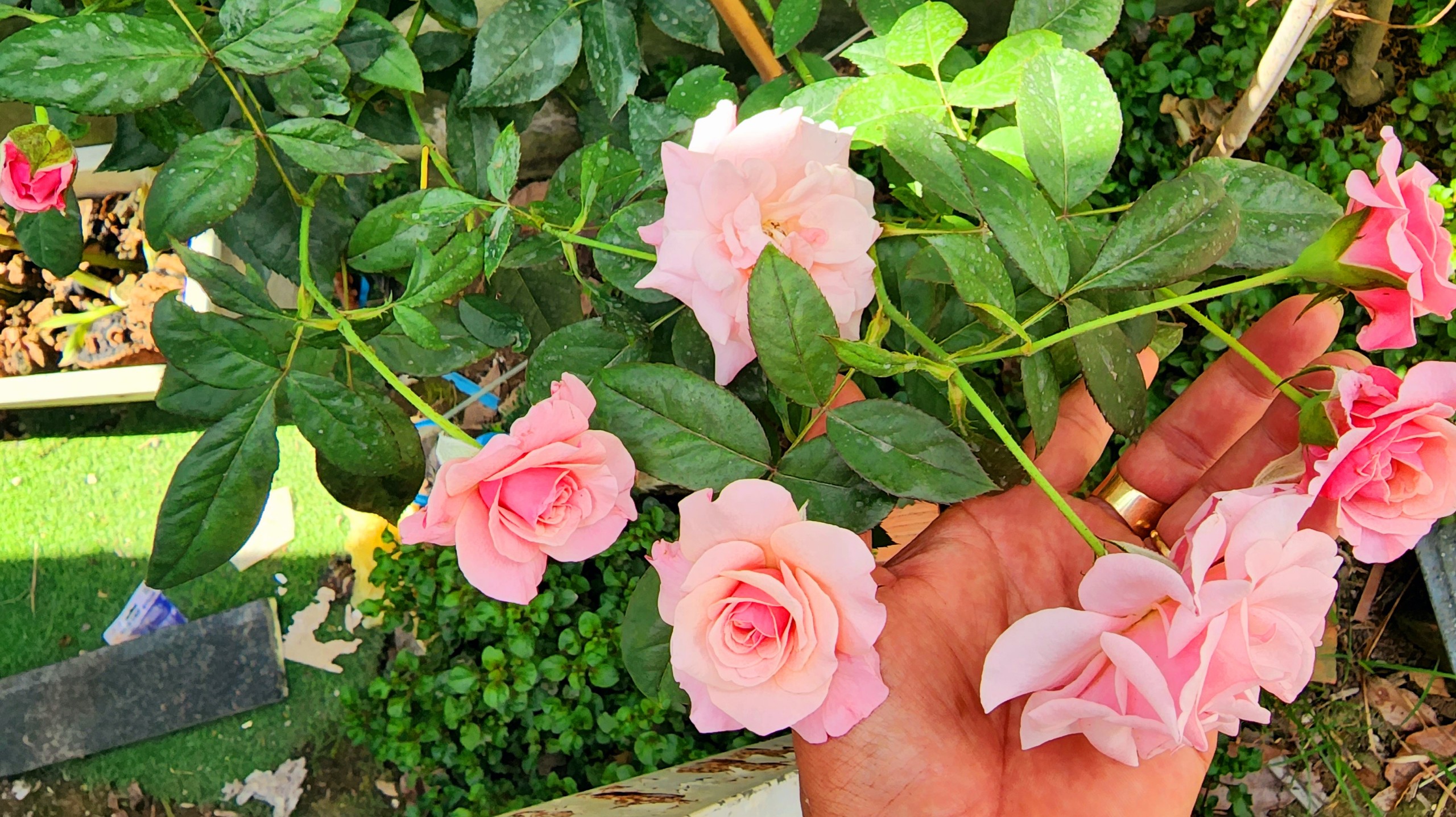 z4109683186638_820f67d1710e65c8eef0f6bb97289e69