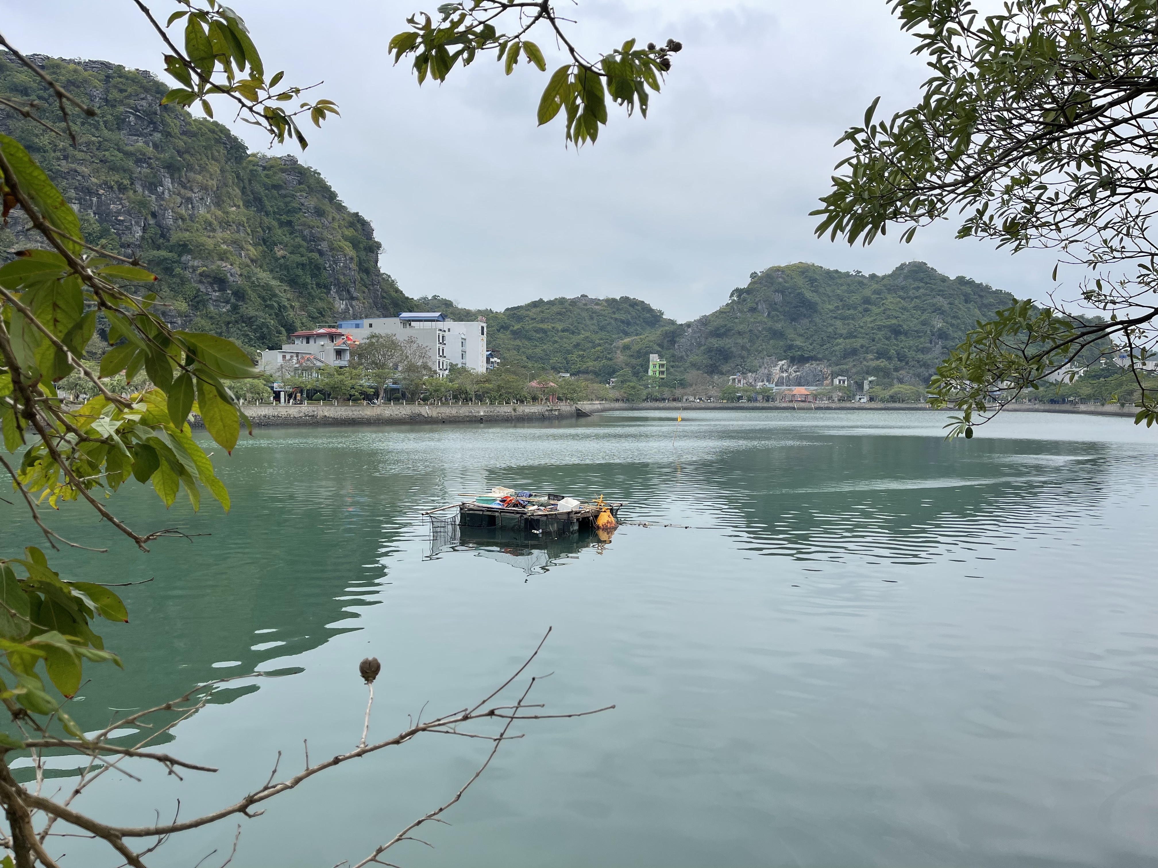 3A1369D0-0D20-47D6-8E9C-FF8F25E73BA5