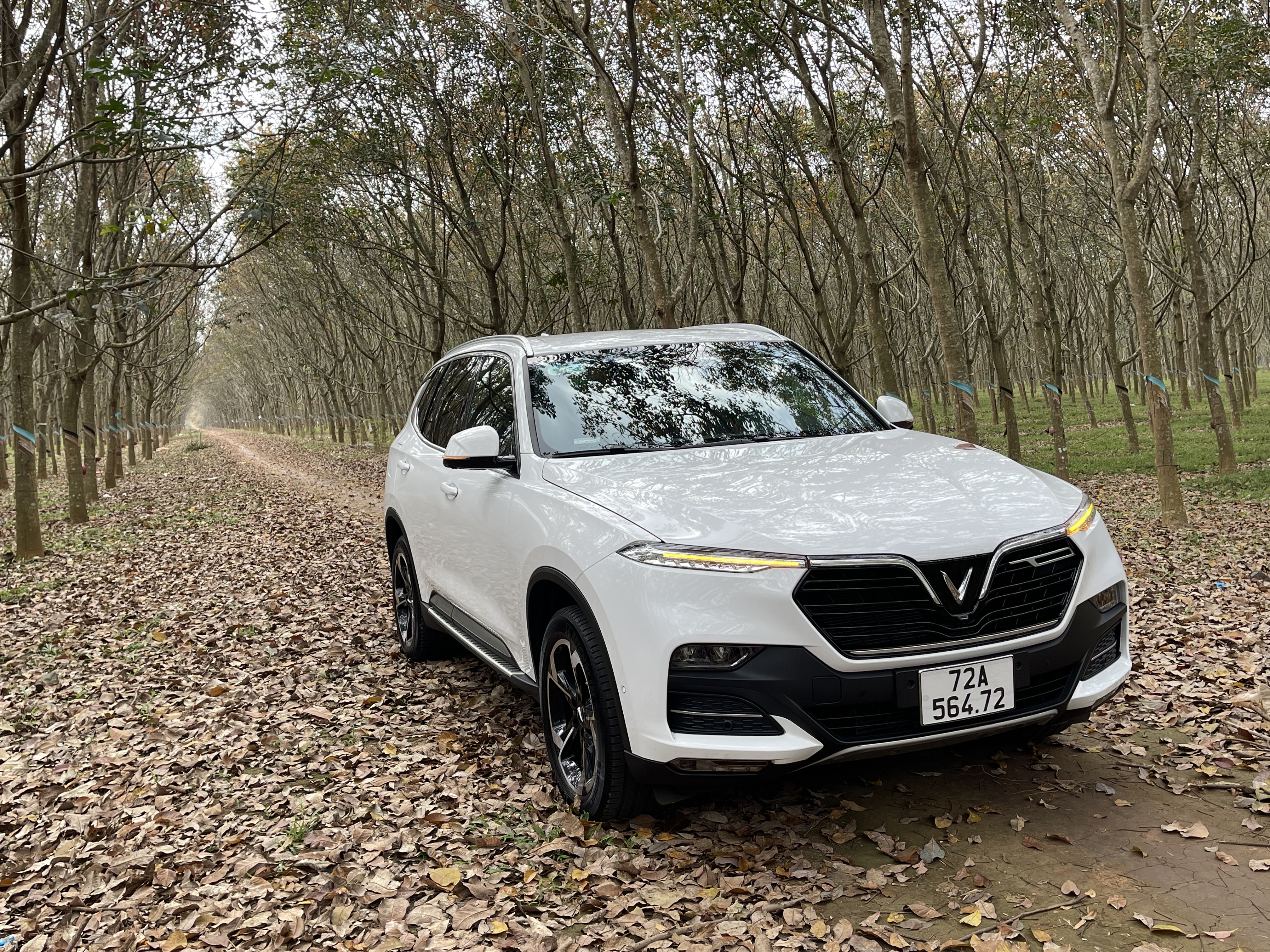 502D7ABF-6526-4552-B745-DC9DD4E2BB8D