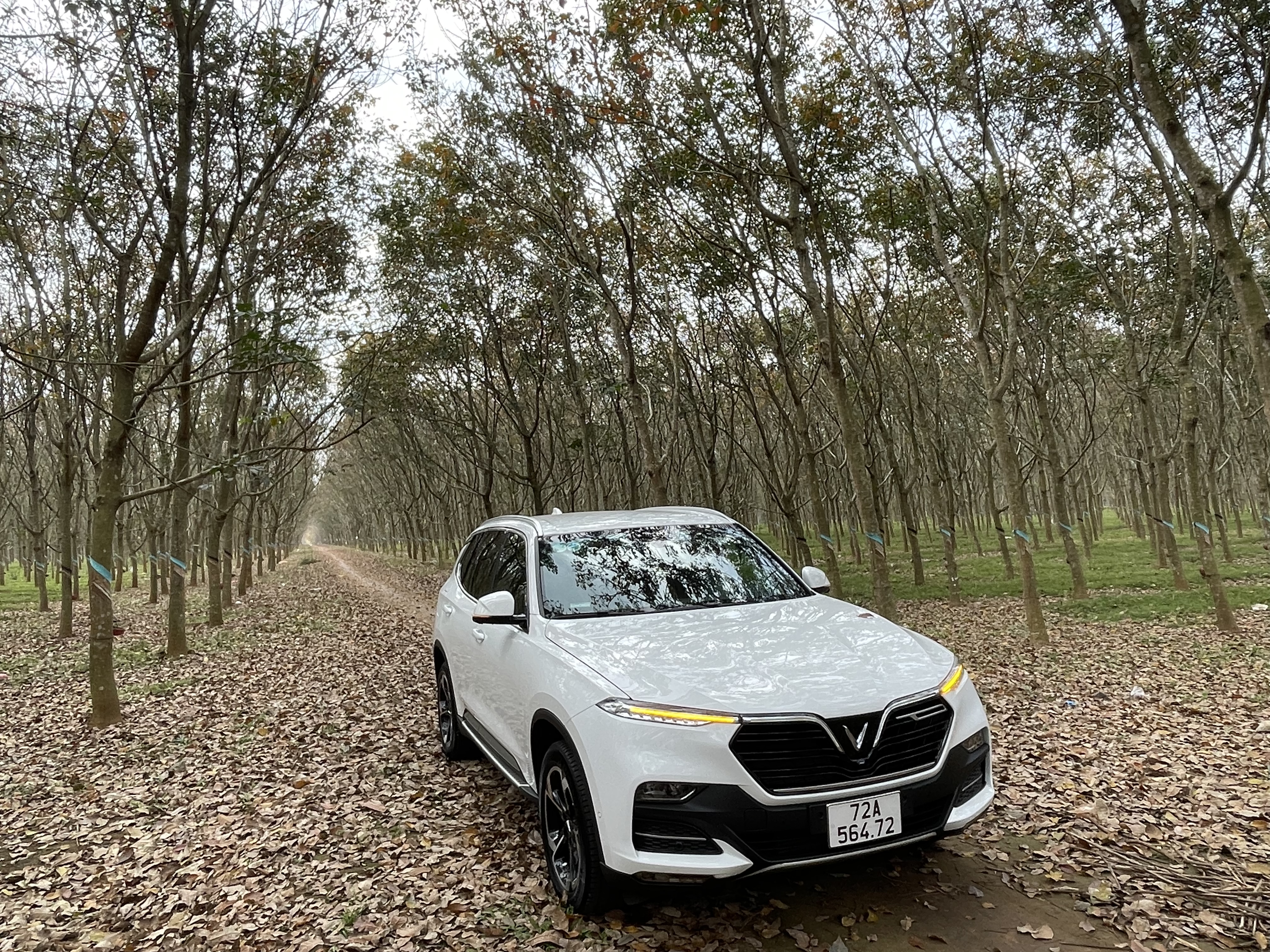 9D0517CD-3C4E-458B-8EB8-4BD4F94D2E6B