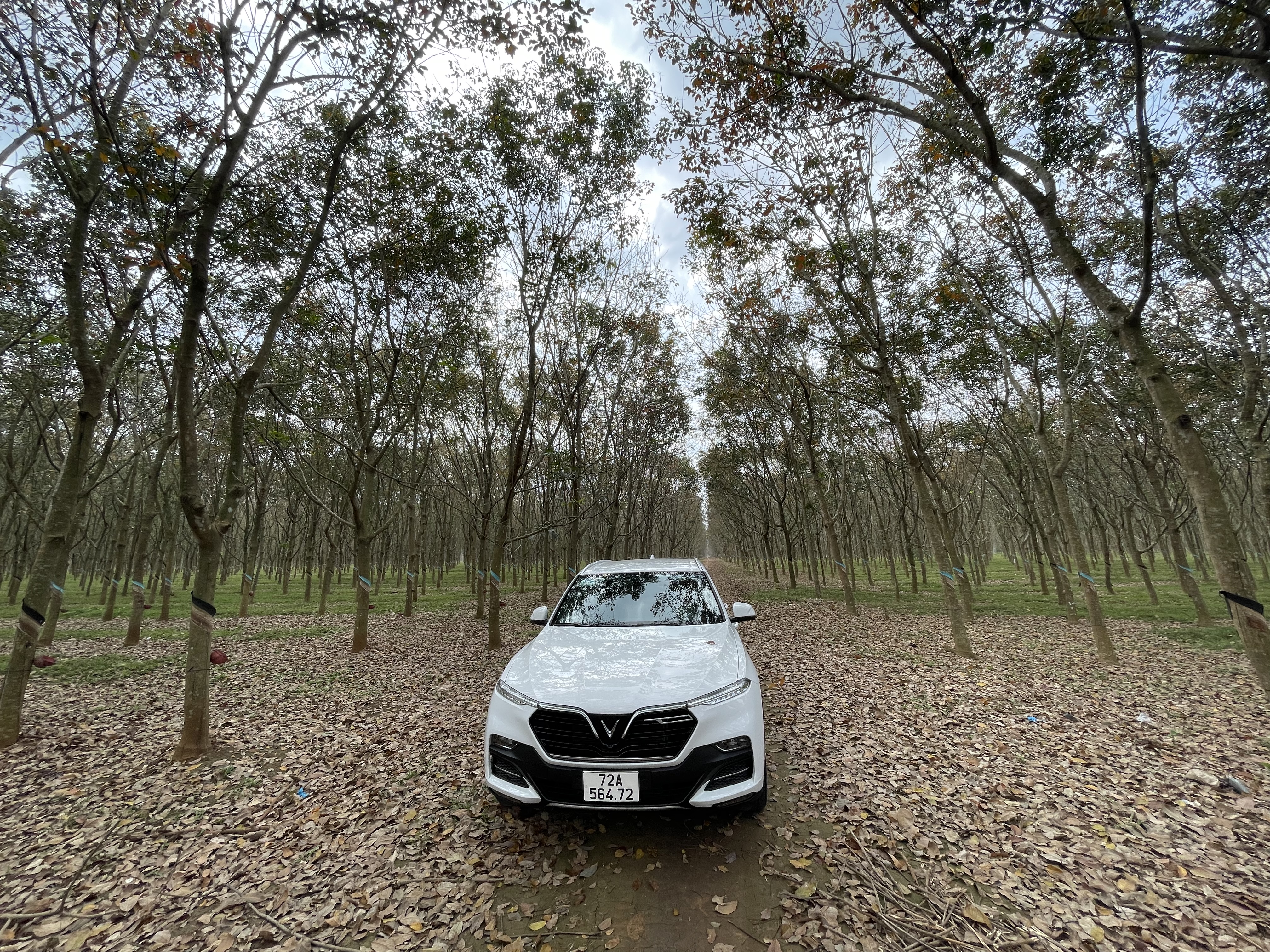 FE75AD10-1DD8-441B-99F7-827C1717EDC2