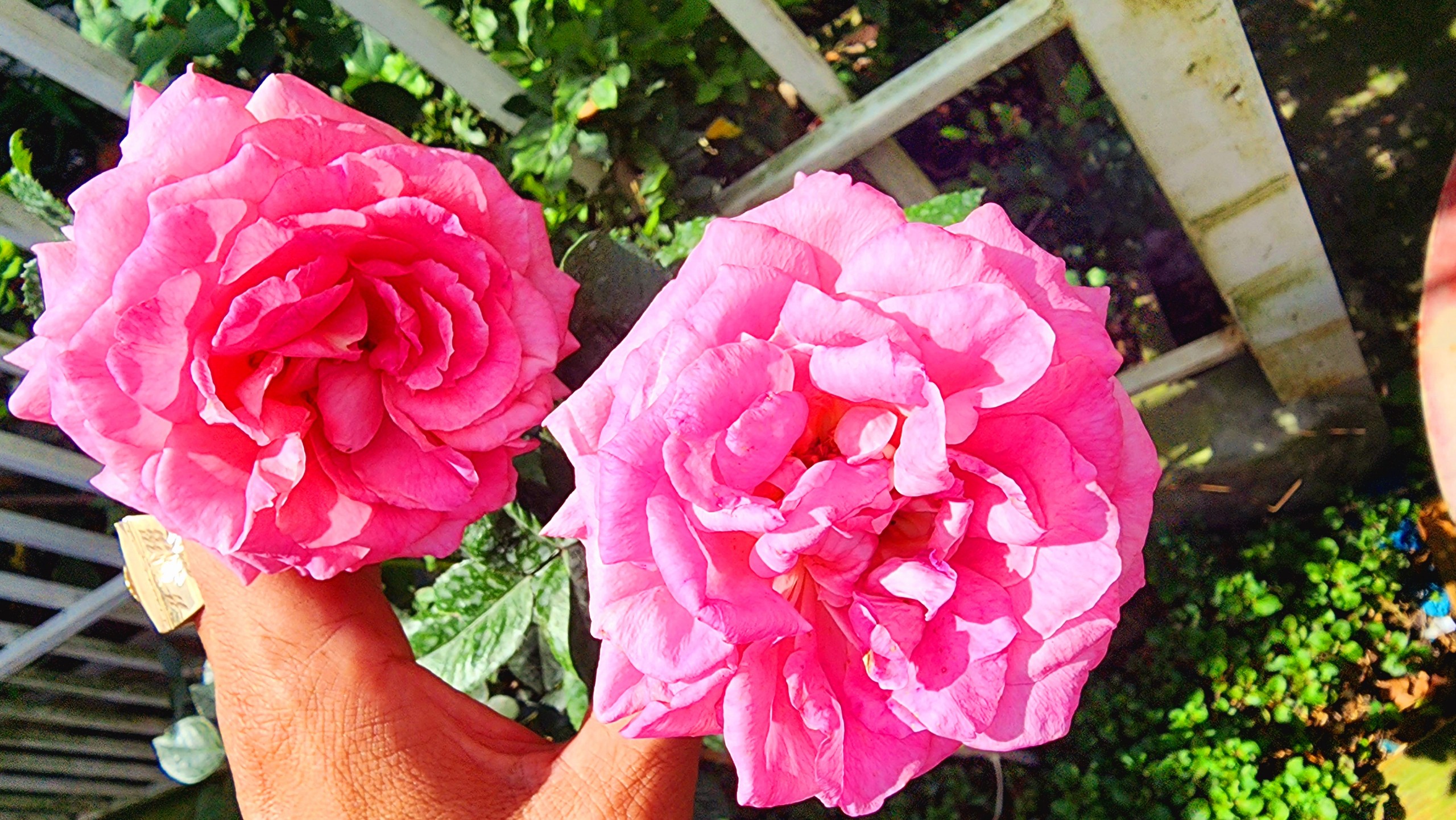 z4109683227098_64e166bb5a6a4d9c91895d791d3bef30