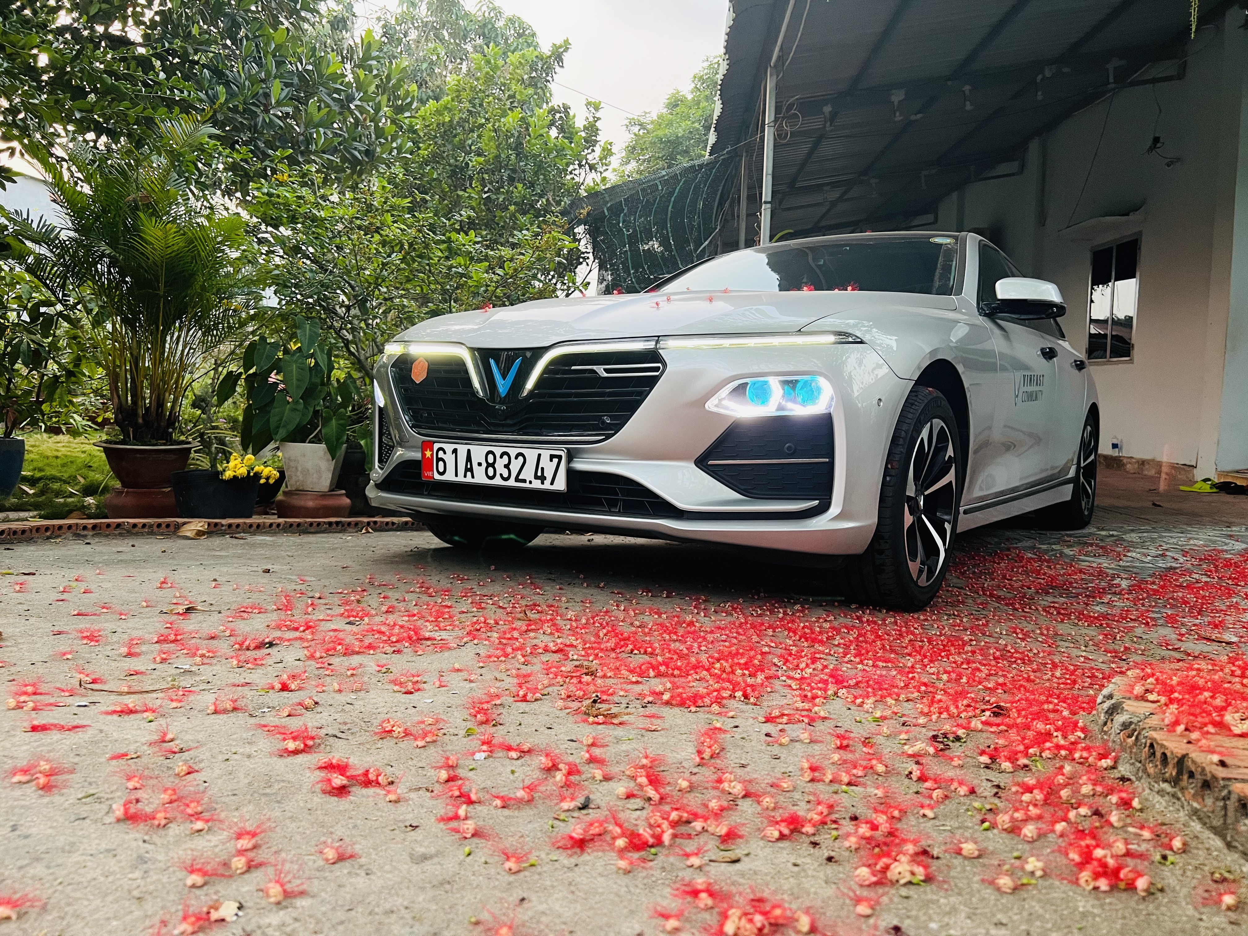 B6B0C55C-1493-4EC3-B612-53C6E75585D2